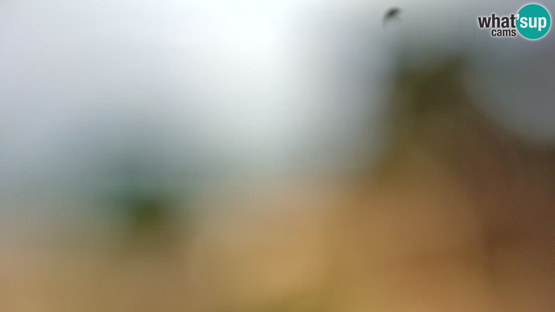 Livecam Borik plage Rovinj – Istrie