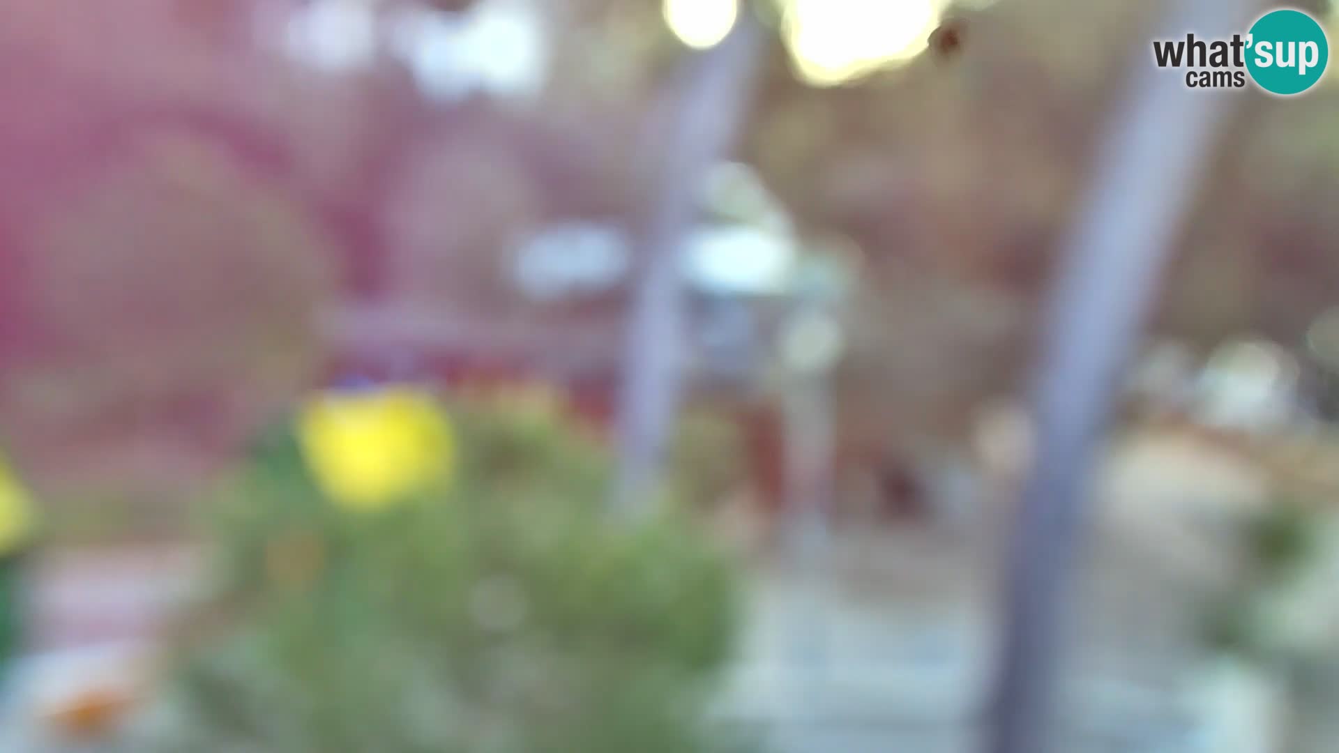 Spletna kamera plaža Borik Rovinj