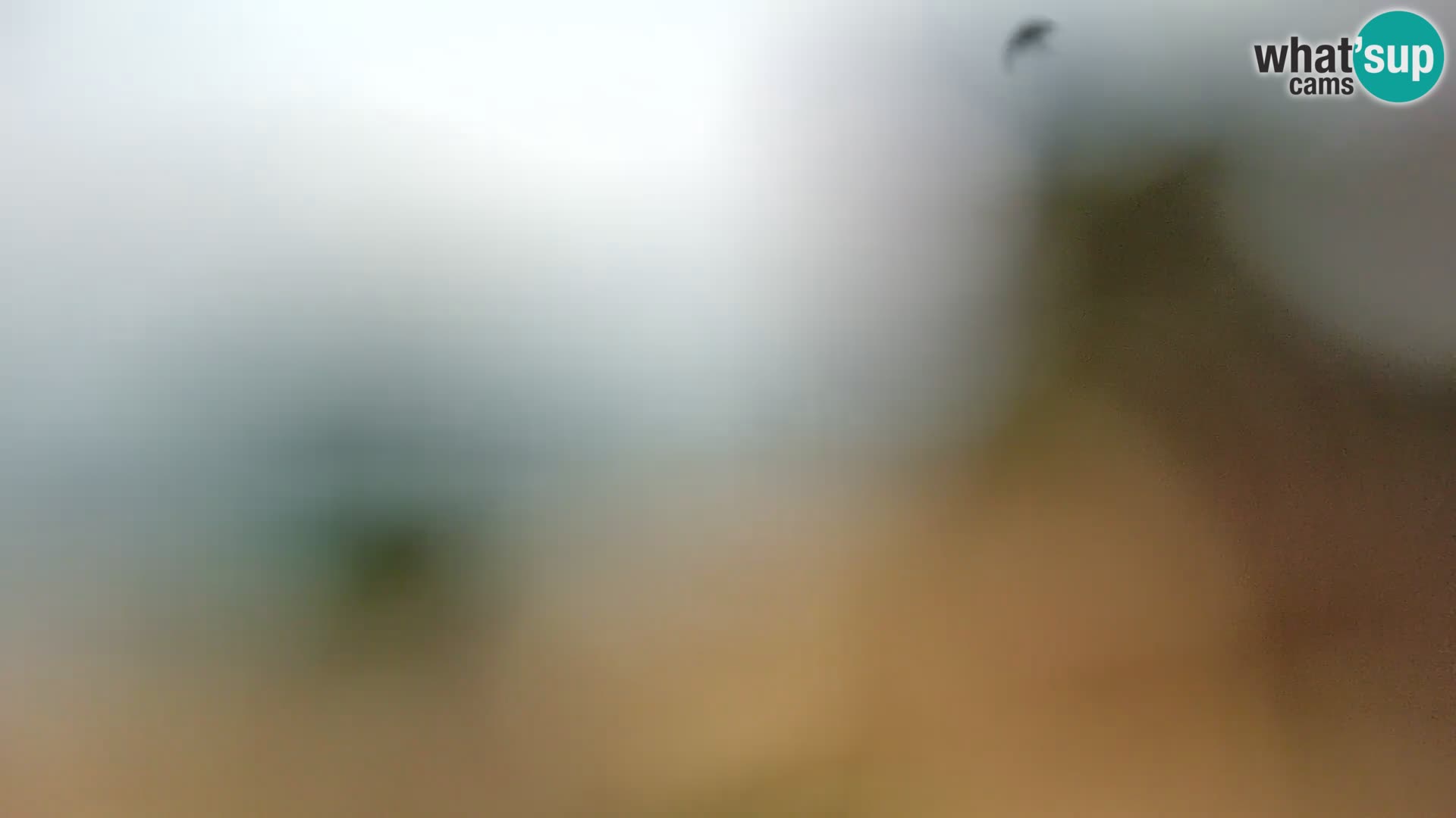 Camera en vivo Borik playa Rovinj – Istria