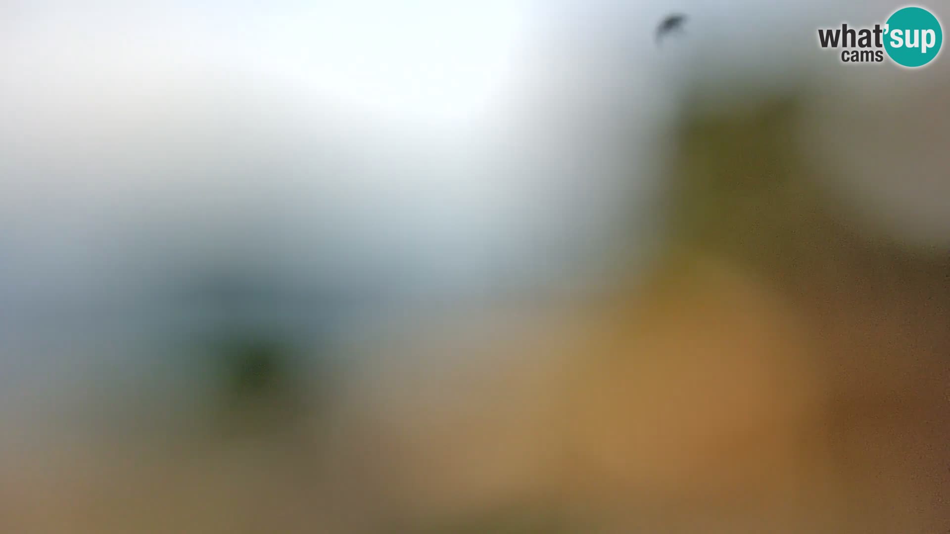 Webcam Borik Strand Rovinj – Istrien