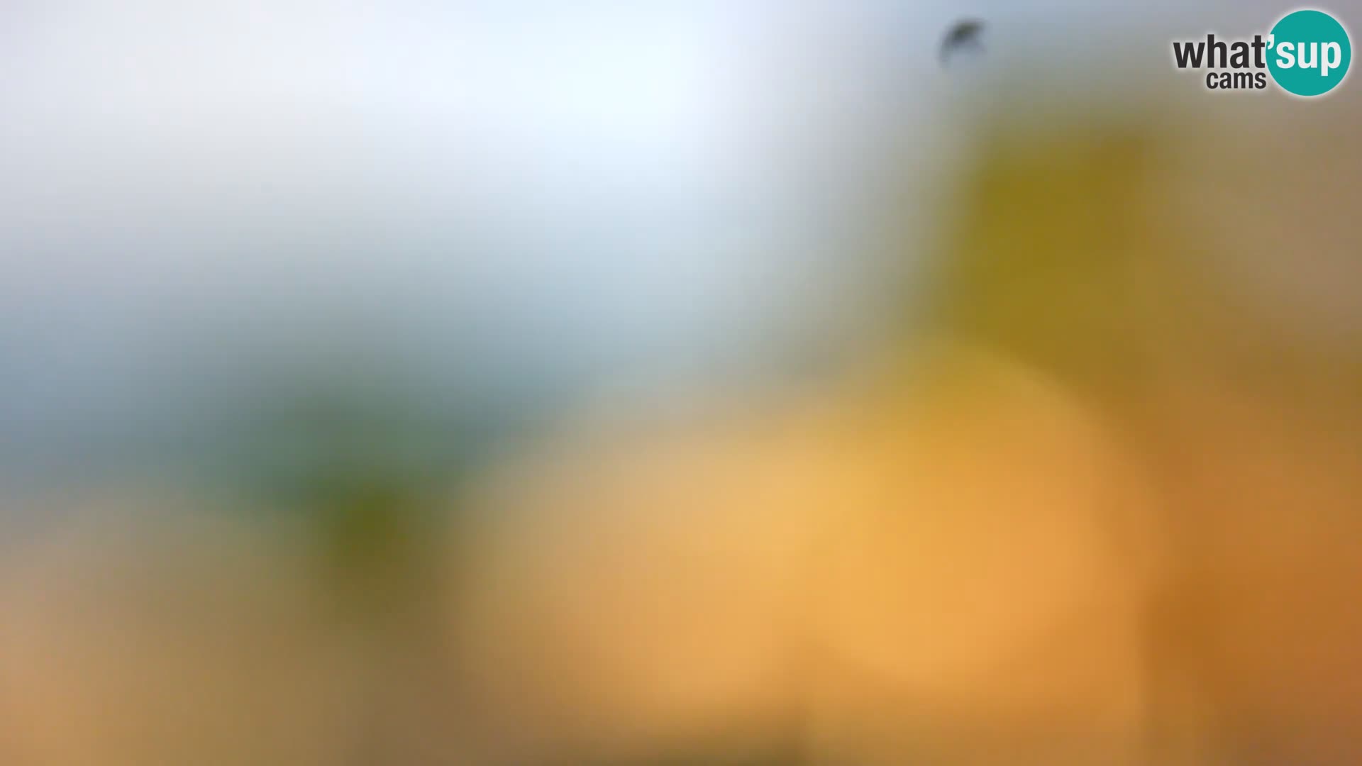 Camera en vivo Borik playa Rovinj – Istria