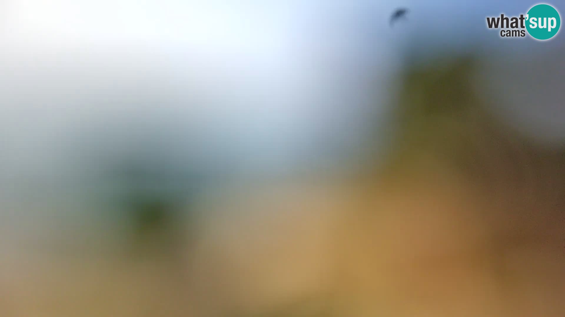 Camera en vivo Borik playa Rovinj – Istria