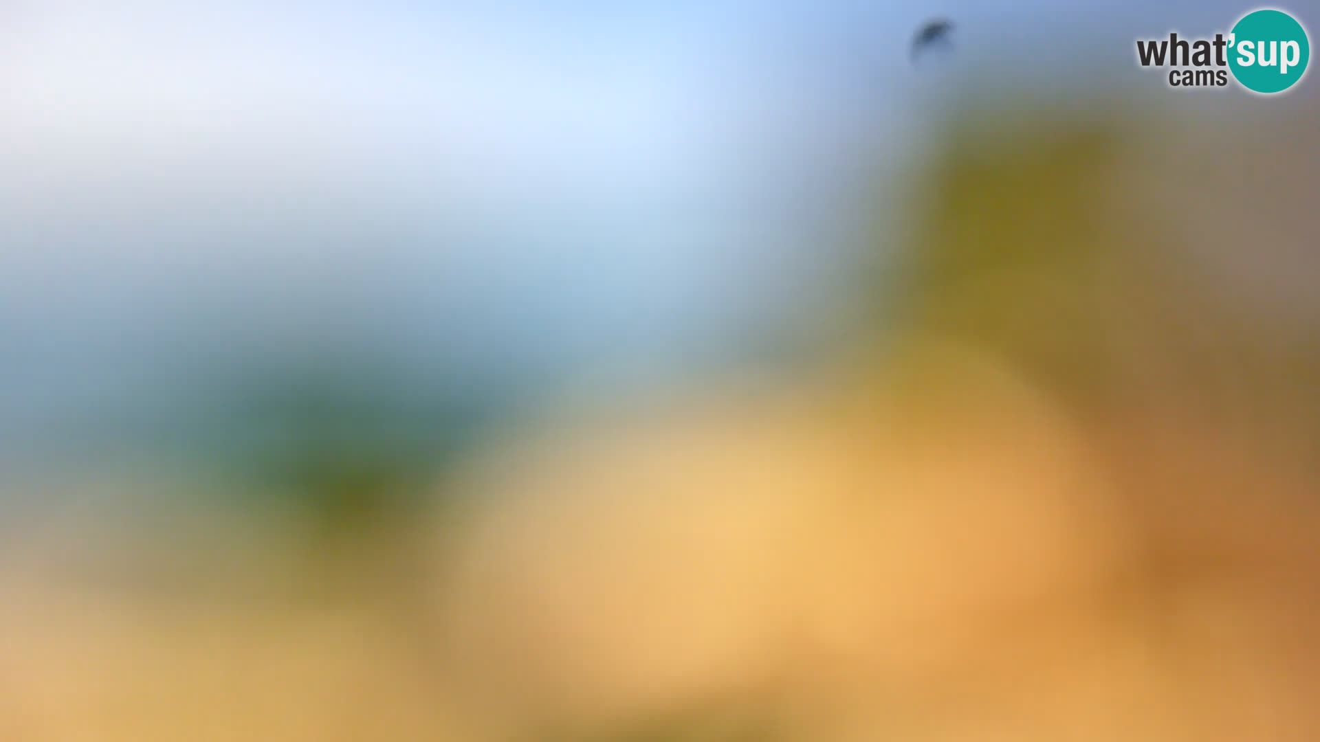 Camera en vivo Borik playa Rovinj – Istria