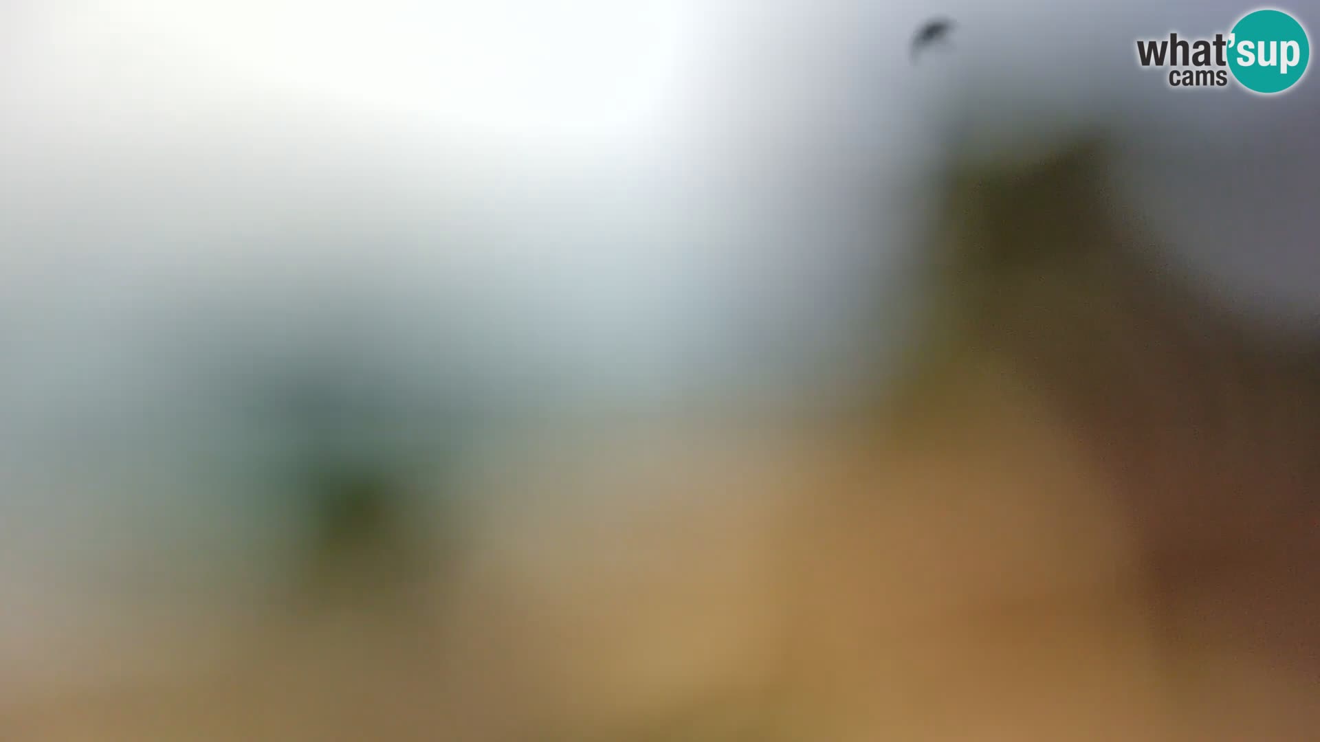 Spletna kamera plaža Borik Rovinj