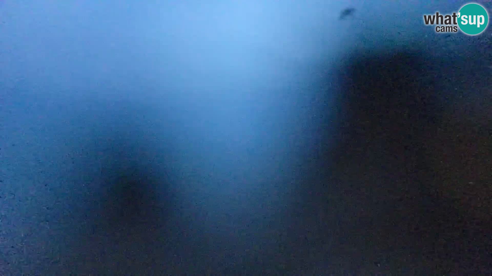 Livecam Borik plage Rovinj – Istrie