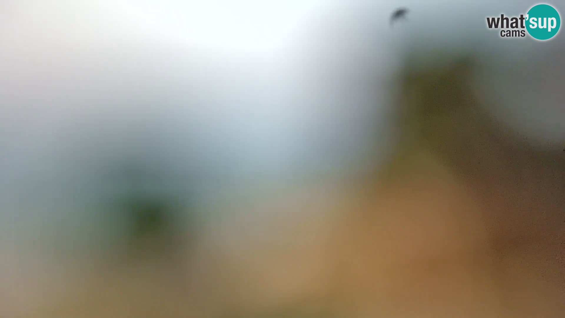 Webcam Borik beach Rovinj – Istria