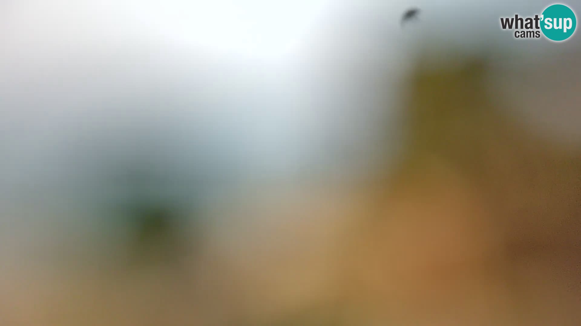 Webcam Borik beach Rovinj – Istria