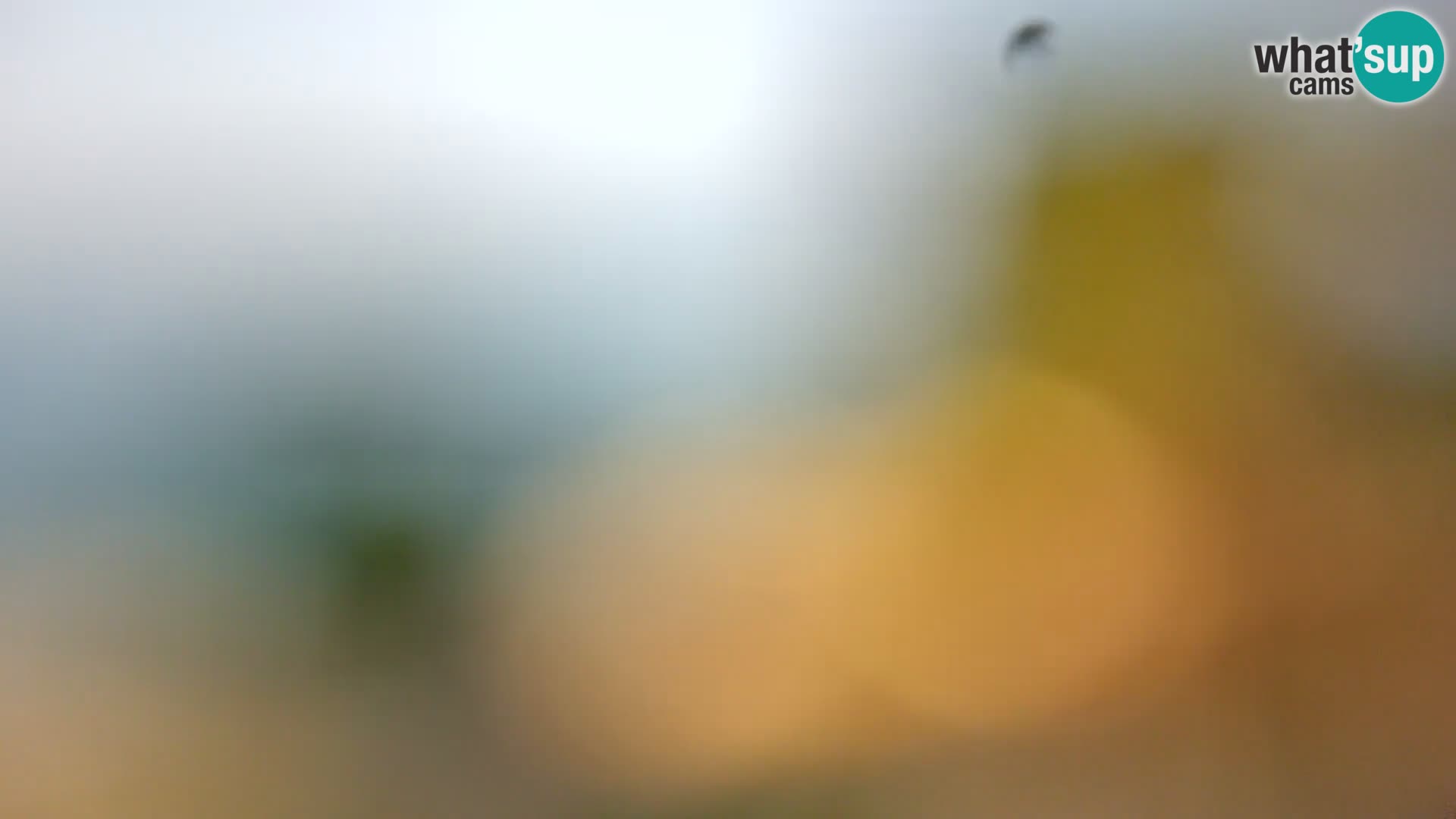 Webcam Borik beach Rovinj – Istria