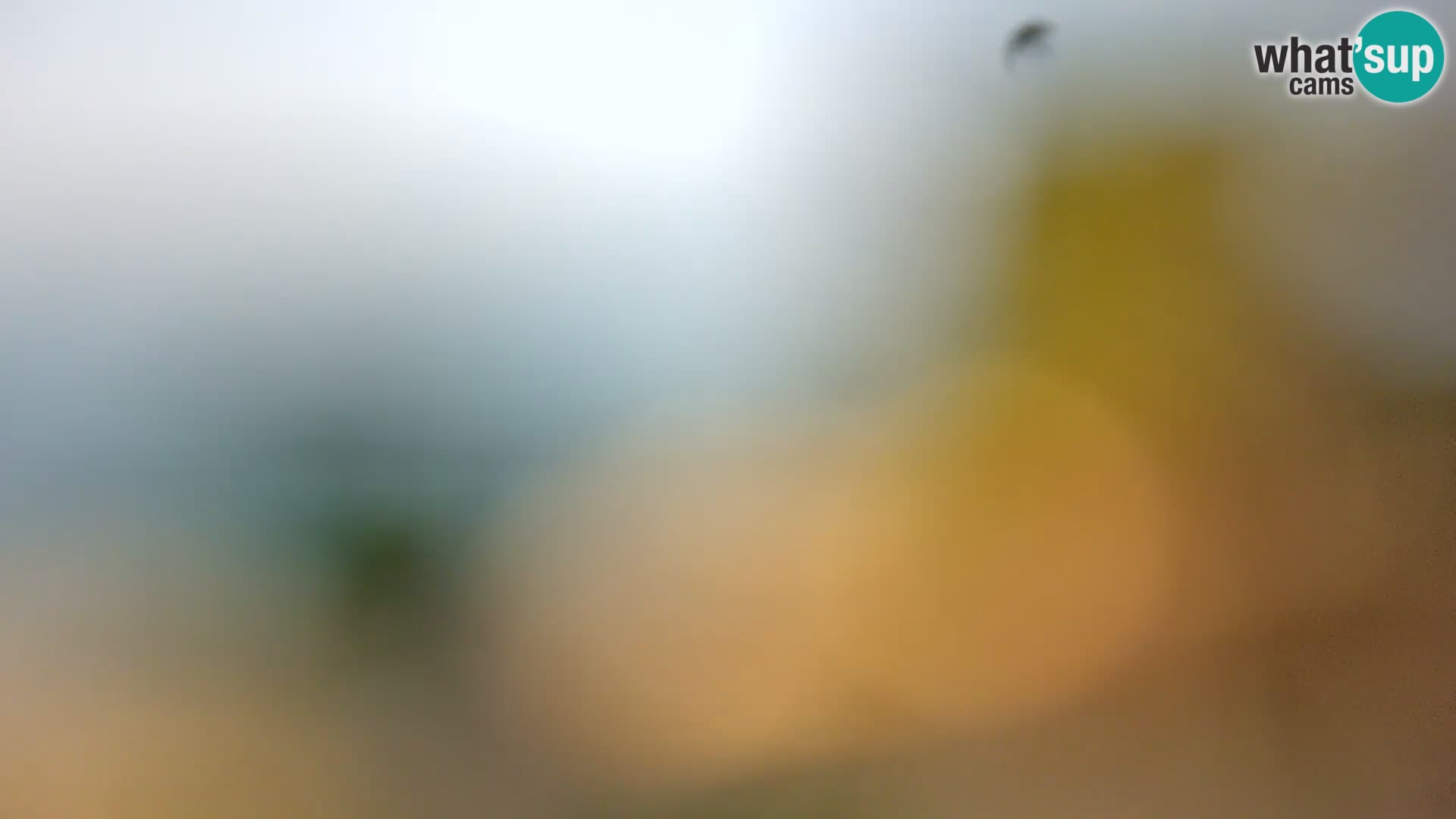 Webcam Spiaggia Borik a Rovigno – Istria