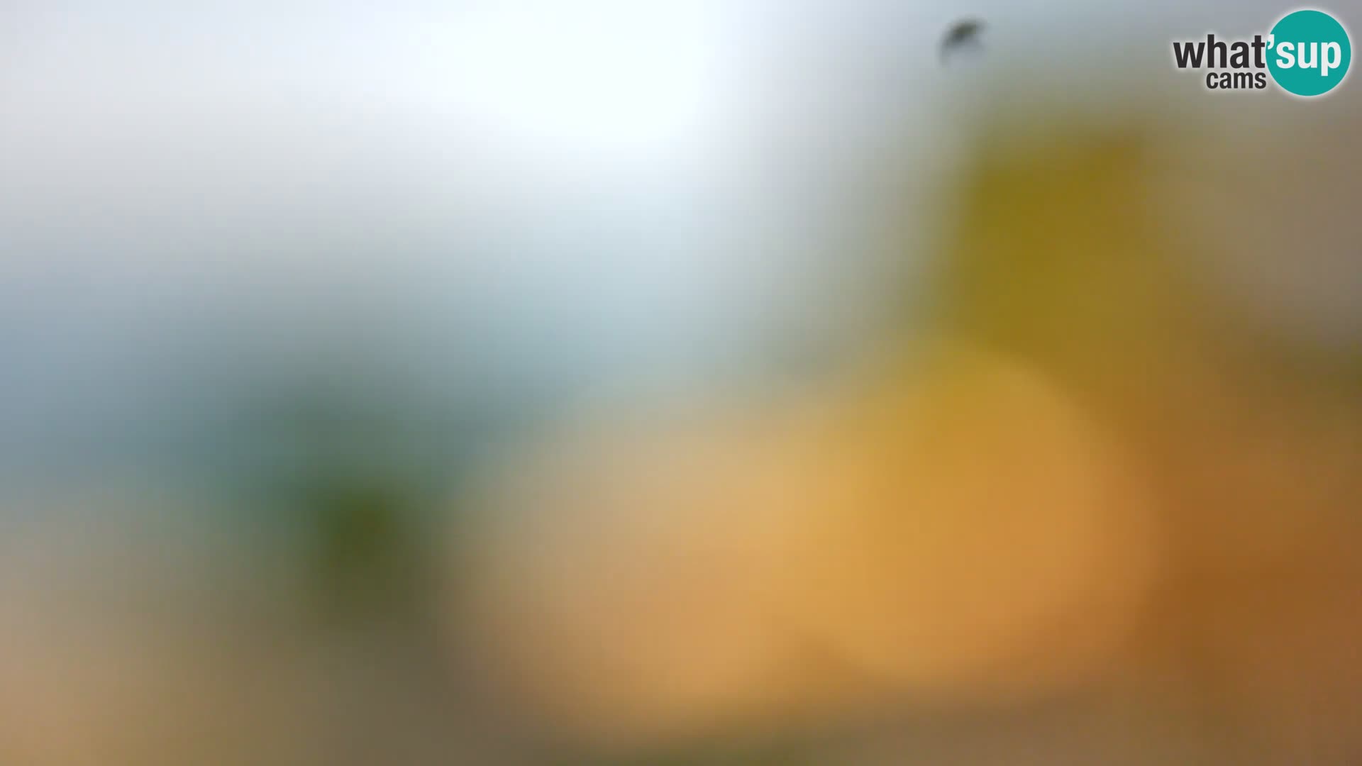 Webcam Borik beach Rovinj – Istria