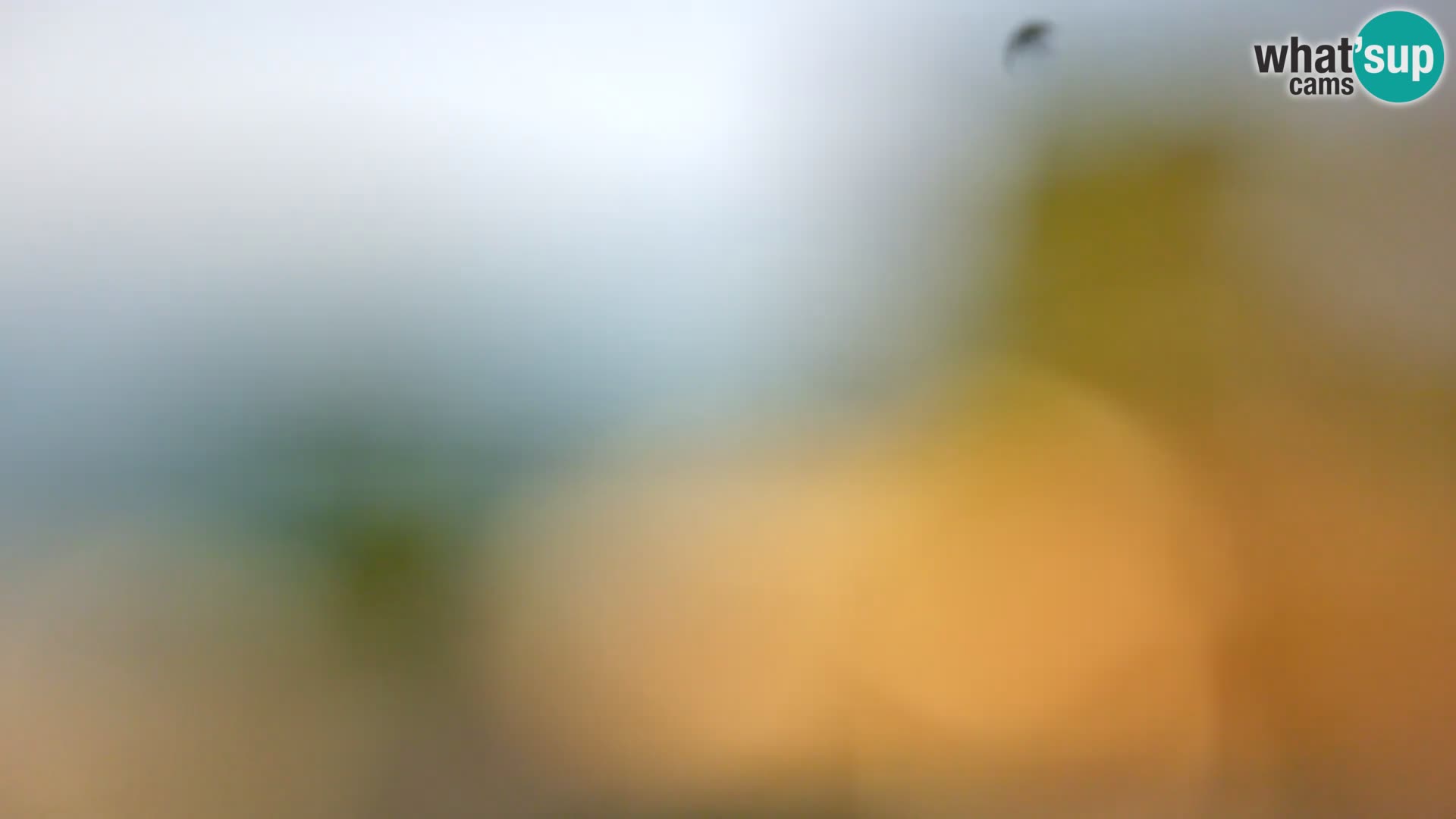 Webcam Borik beach Rovinj – Istria