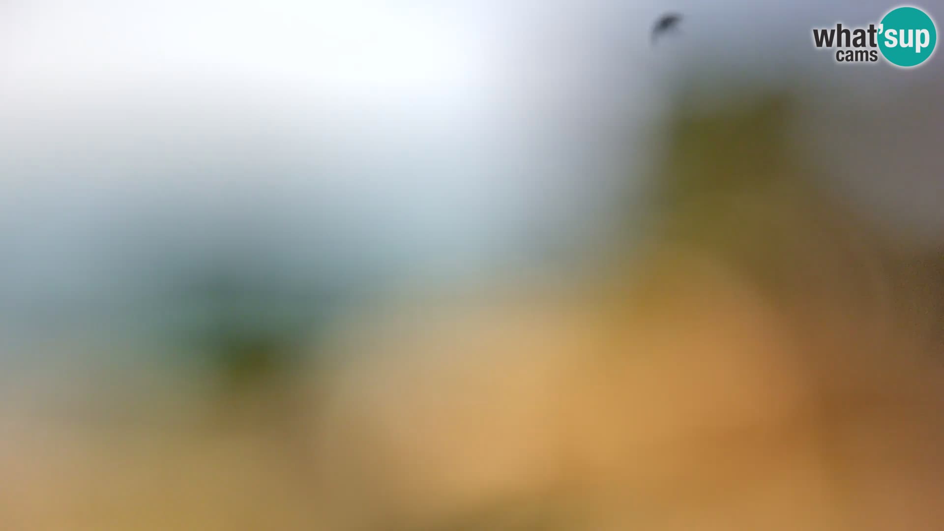 Webcam Borik beach Rovinj – Istria