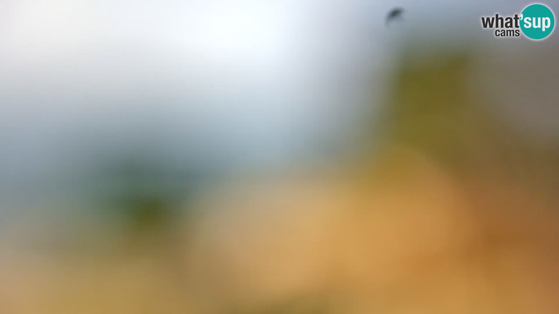 Webcam Borik beach Rovinj – Istria