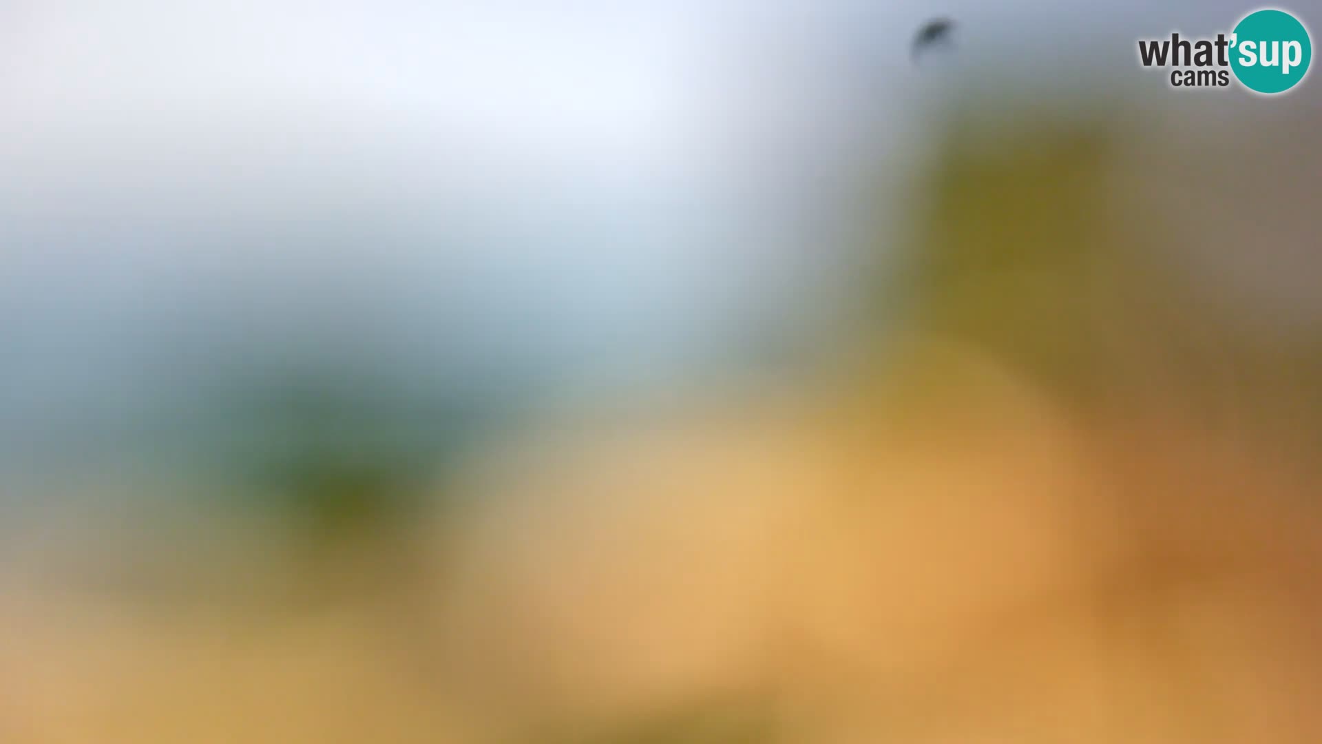 Webcam Borik beach Rovinj – Istria