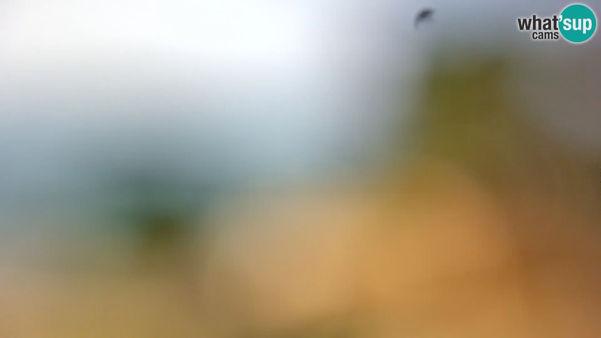 Webcam Borik beach Rovinj – Istria