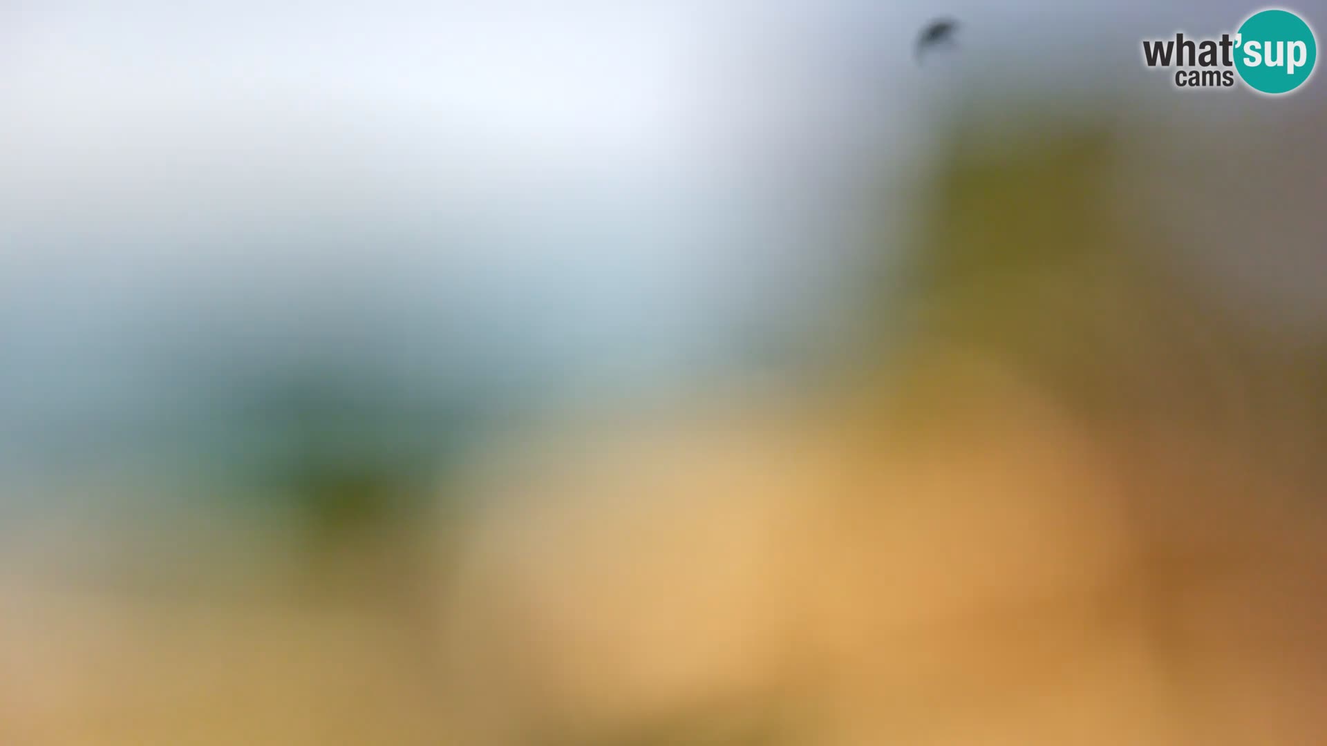 Camera en vivo Borik playa Rovinj – Istria