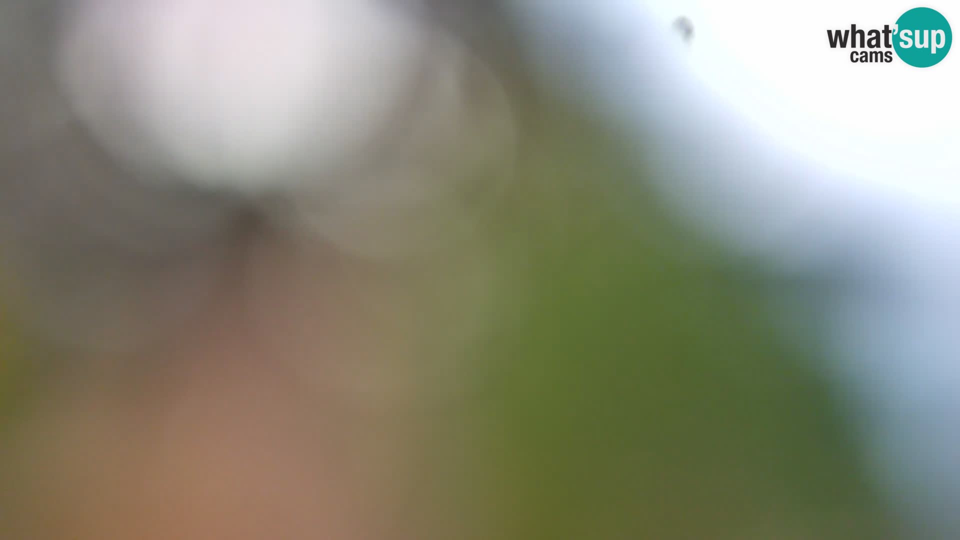 Web kamera Borik plaža Rovinj – Istra