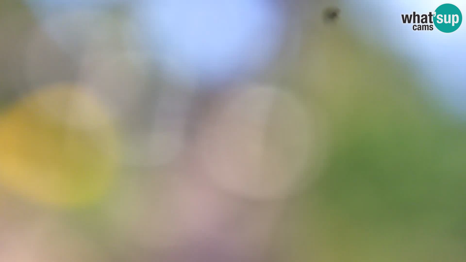 Webcam Borik Strand Rovinj – Istrien