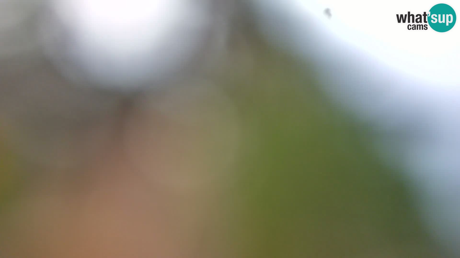 Webcam Borik beach Rovinj – Istria