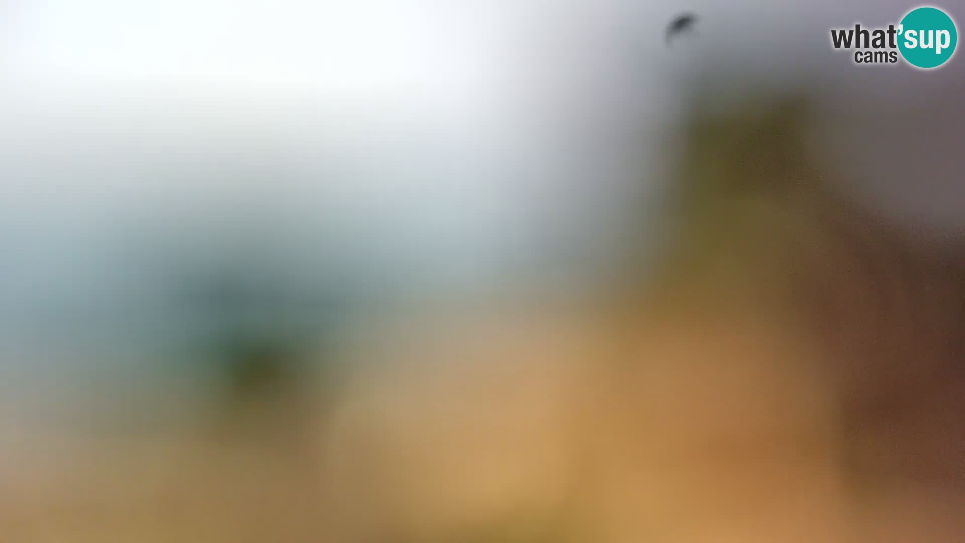 Camera en vivo Borik playa Rovinj – Istria