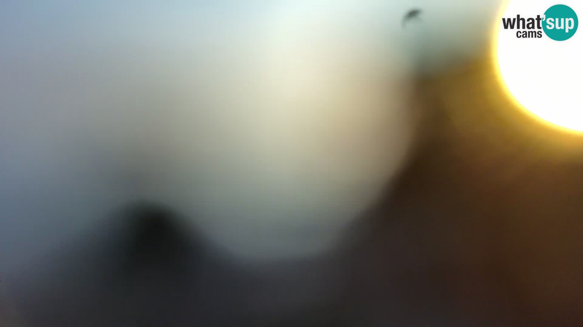 Webcam Spiaggia Borik a Rovigno – Istria