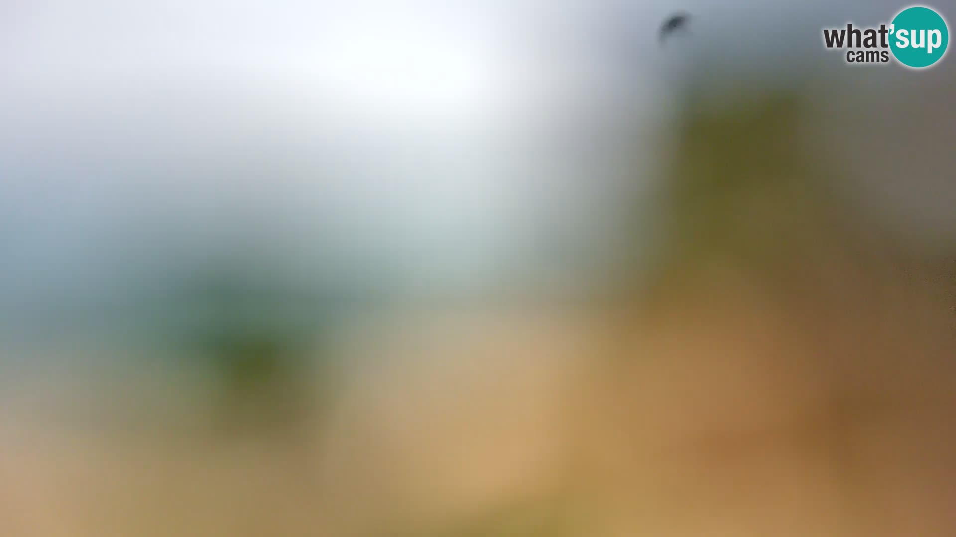 Webcam Borik Strand Rovinj – Istrien