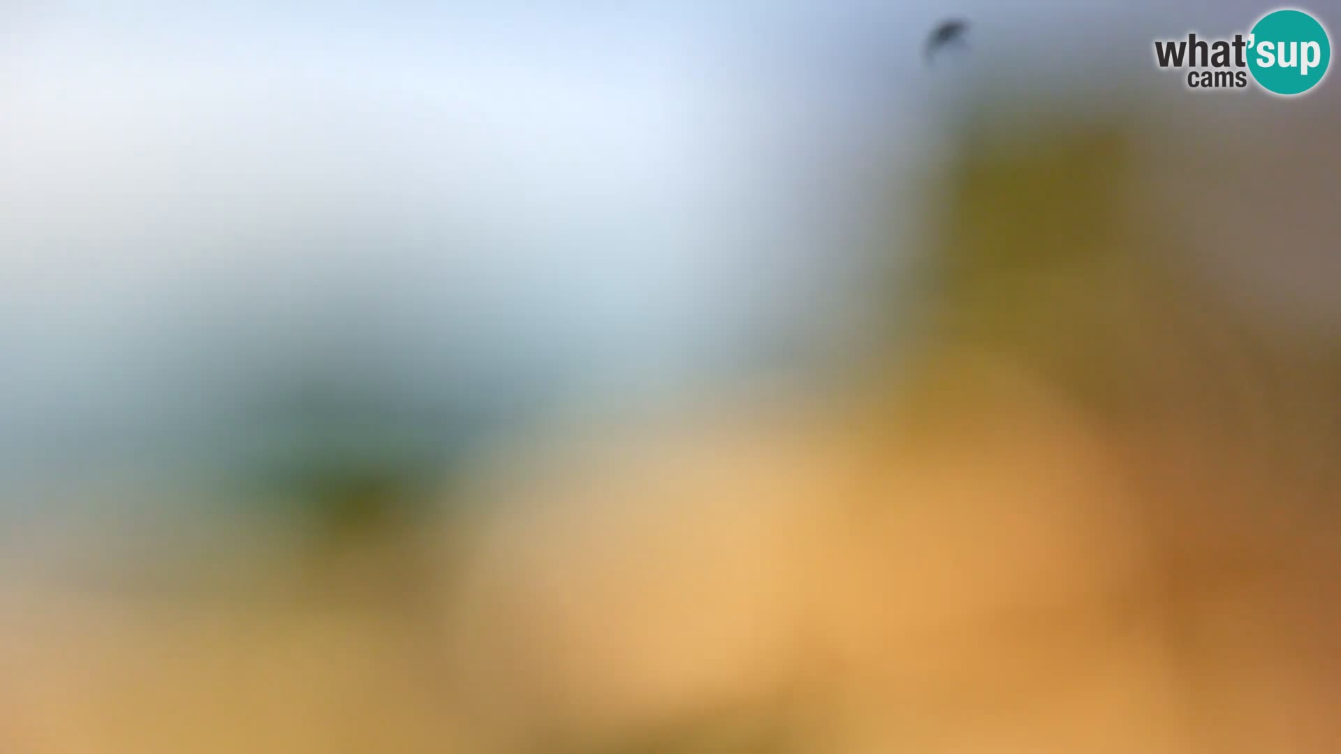 Webcam Borik Strand Rovinj – Istrien