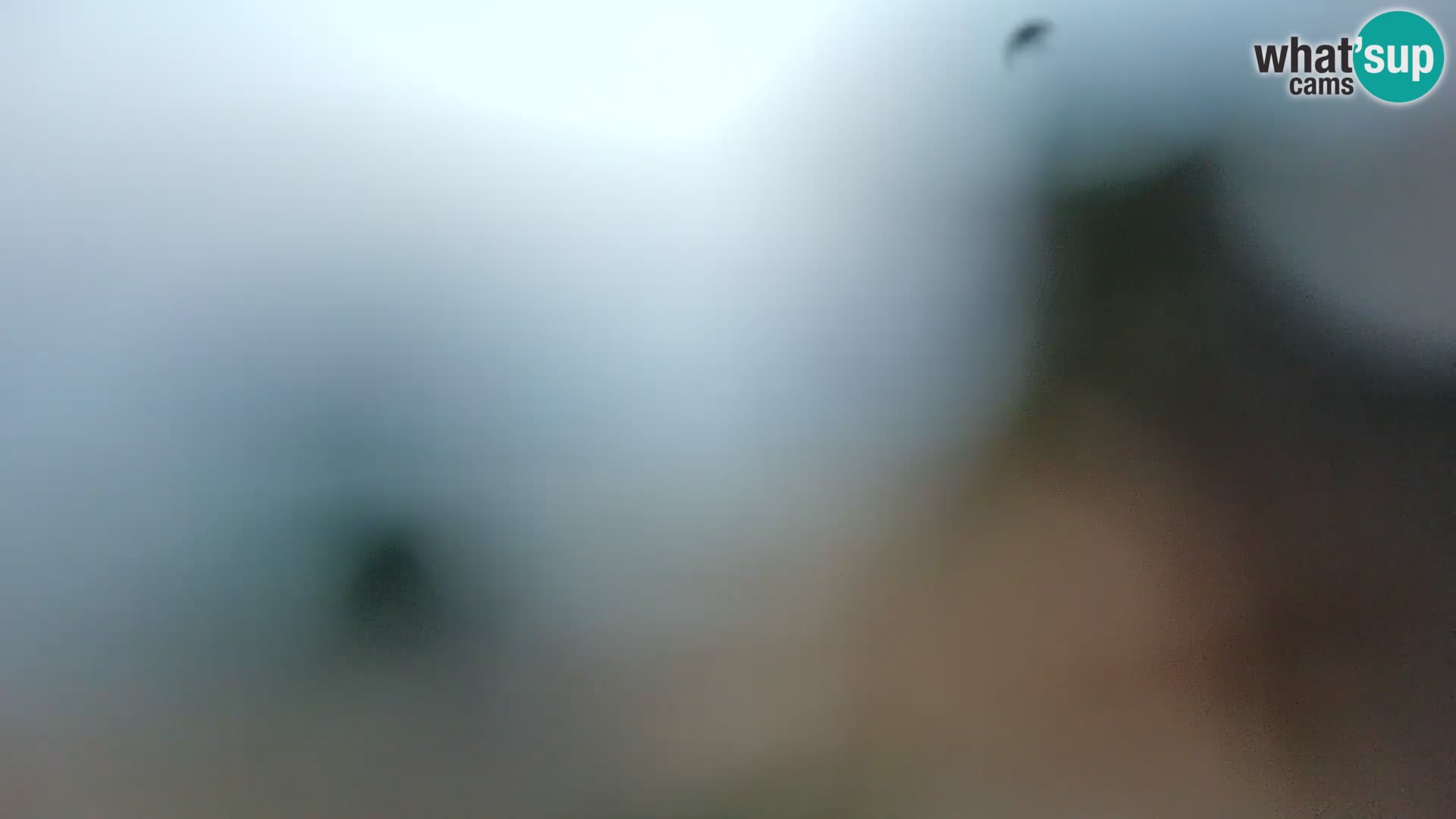 Webcam Spiaggia Borik a Rovigno – Istria