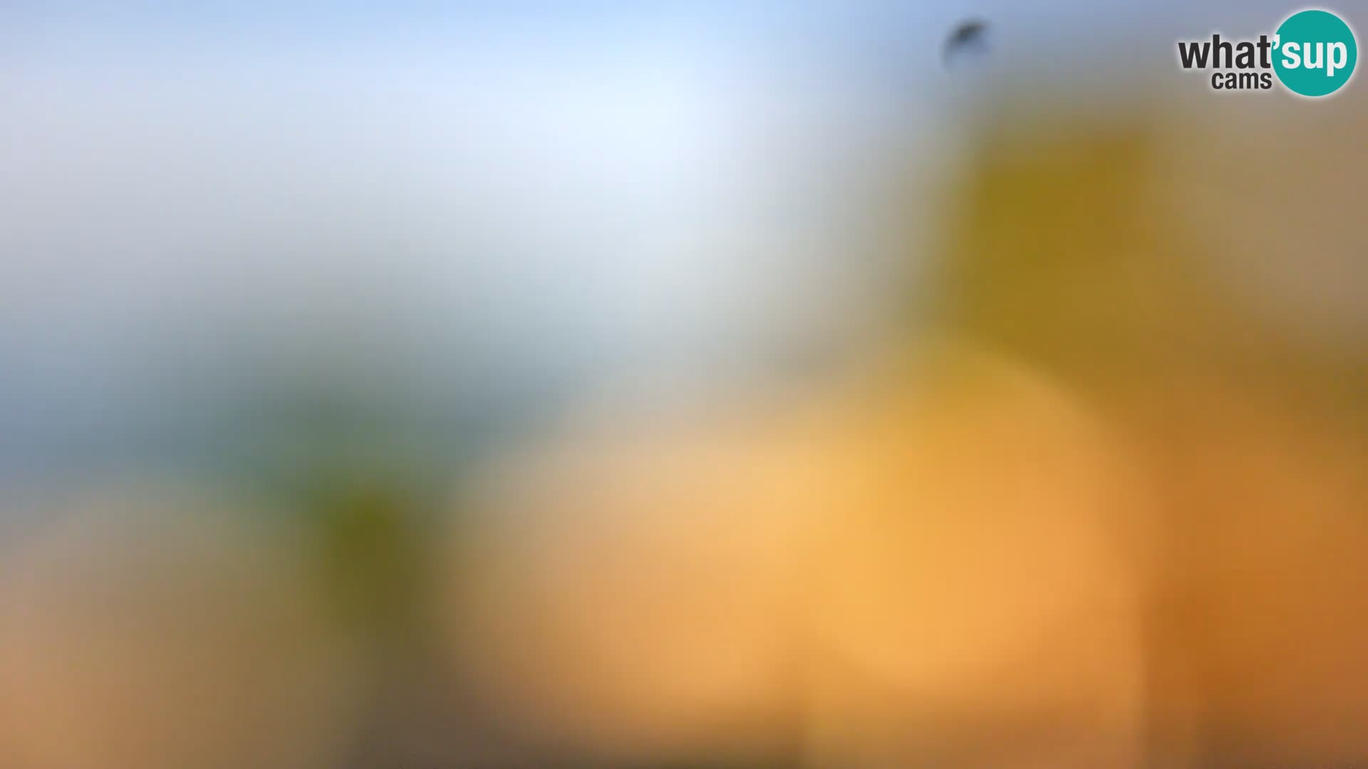 Spletna kamera plaža Borik Rovinj