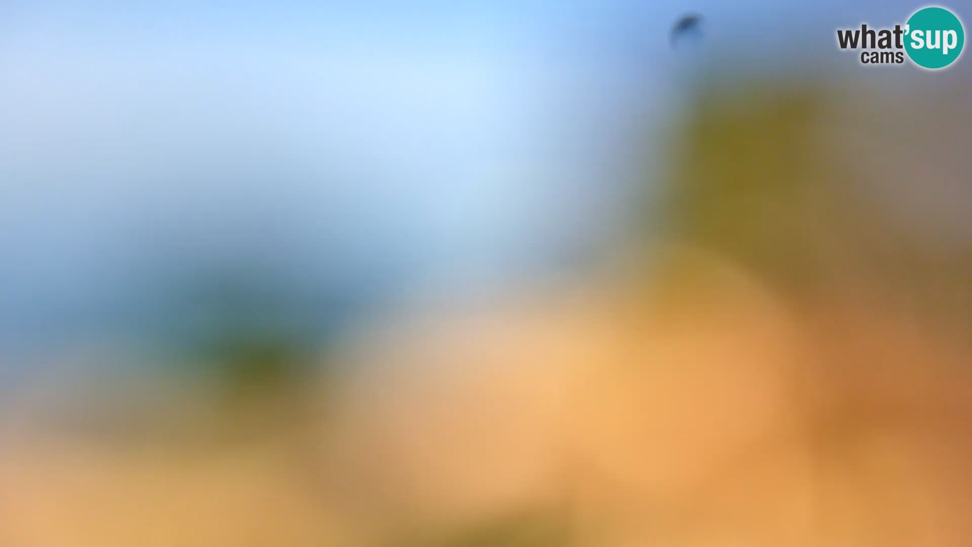 Webcam Spiaggia Borik a Rovigno – Istria