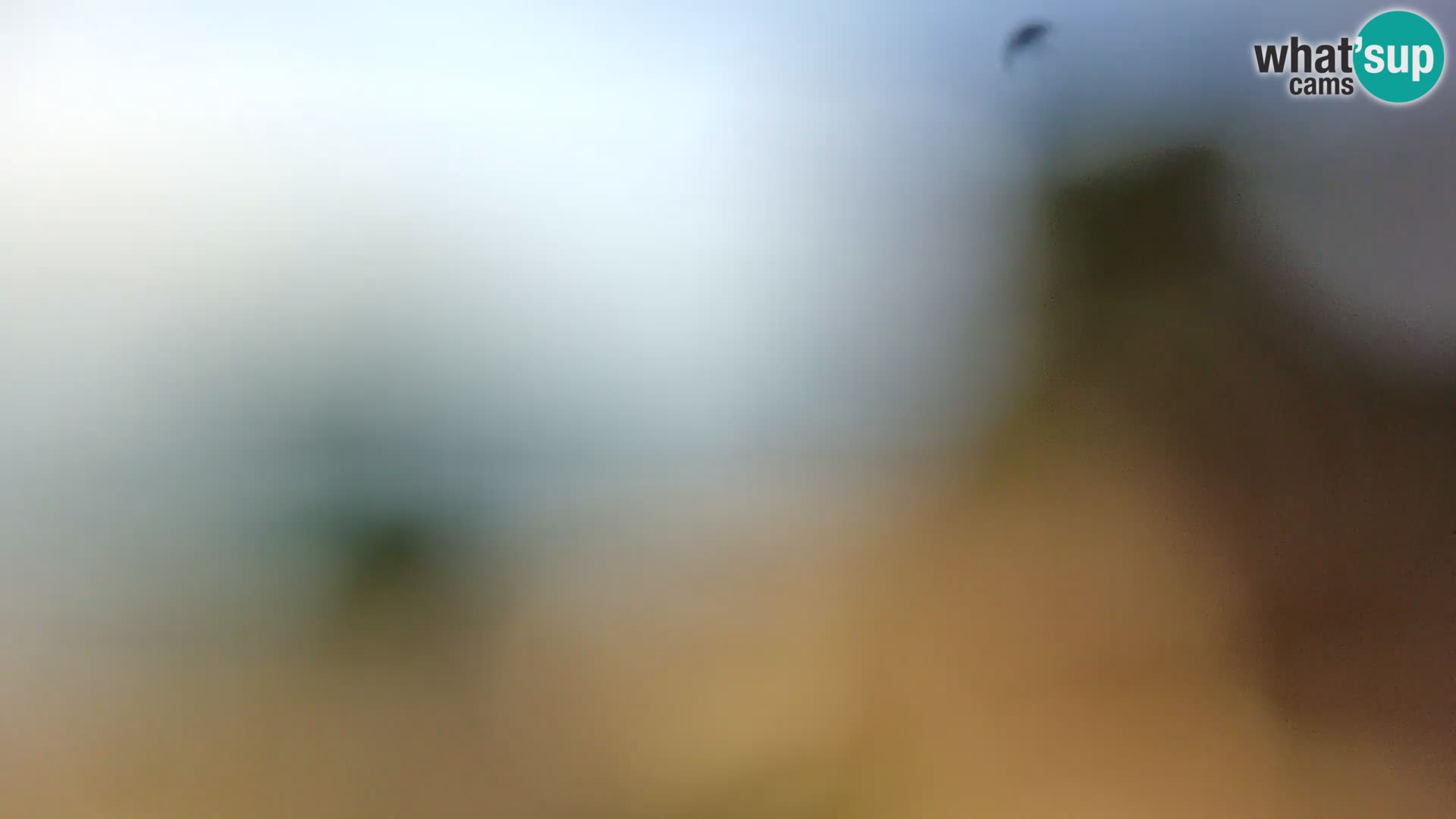 Spletna kamera plaža Borik Rovinj