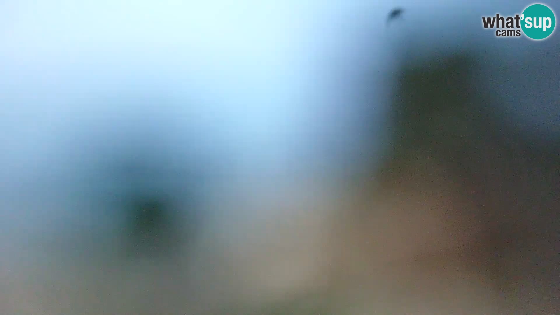 Camera en vivo Borik playa Rovinj – Istria