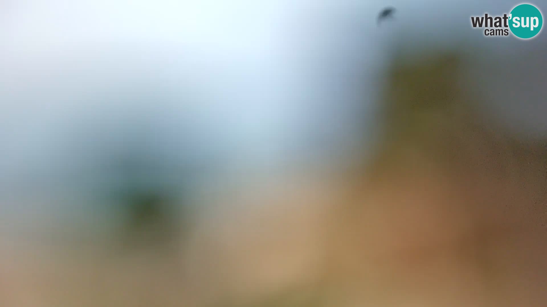 Camera en vivo Borik playa Rovinj – Istria