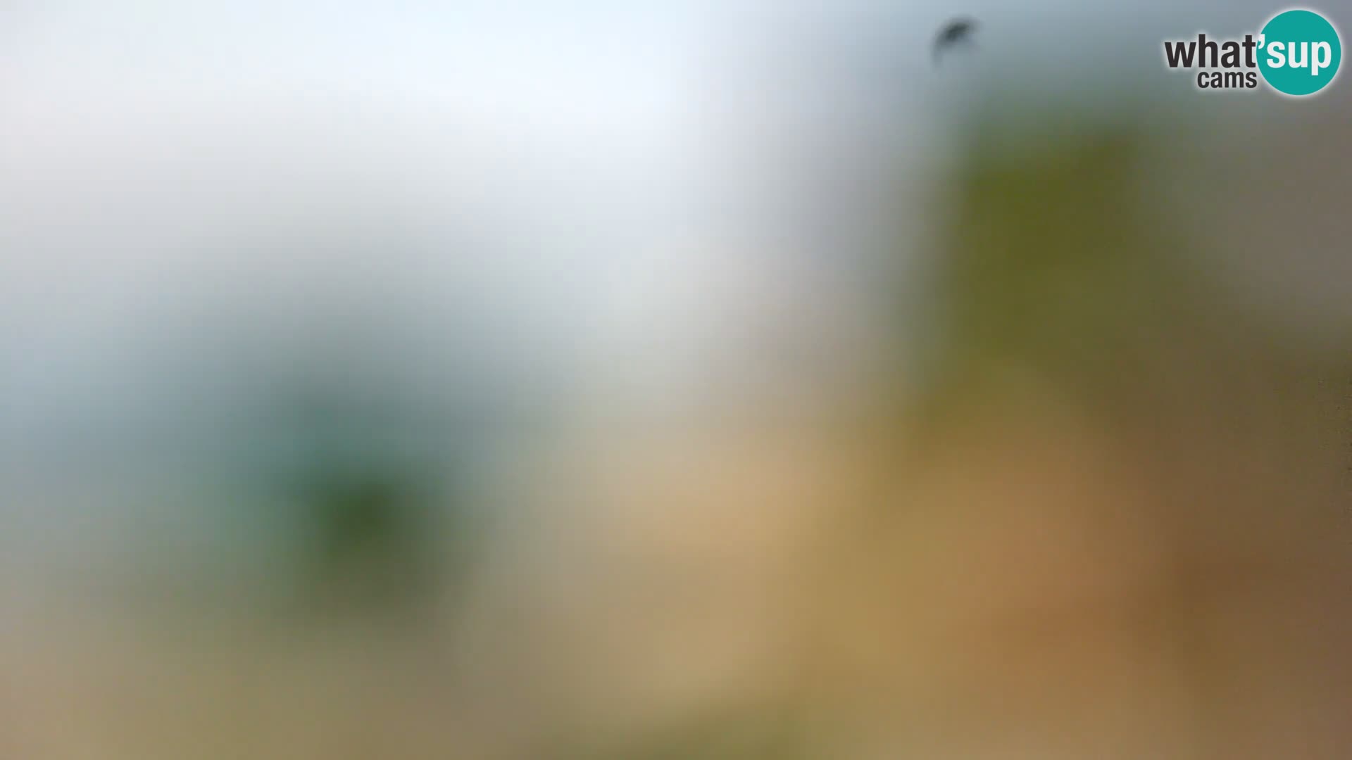 Webcam Borik Strand Rovinj – Istrien