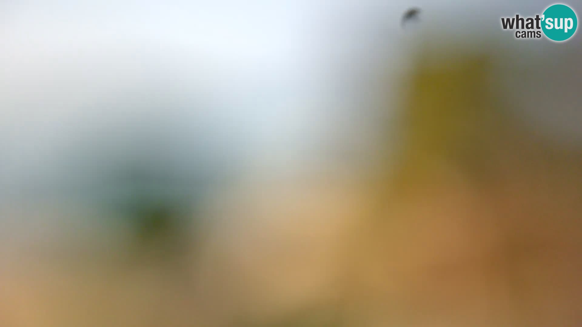 Camera en vivo Borik playa Rovinj – Istria