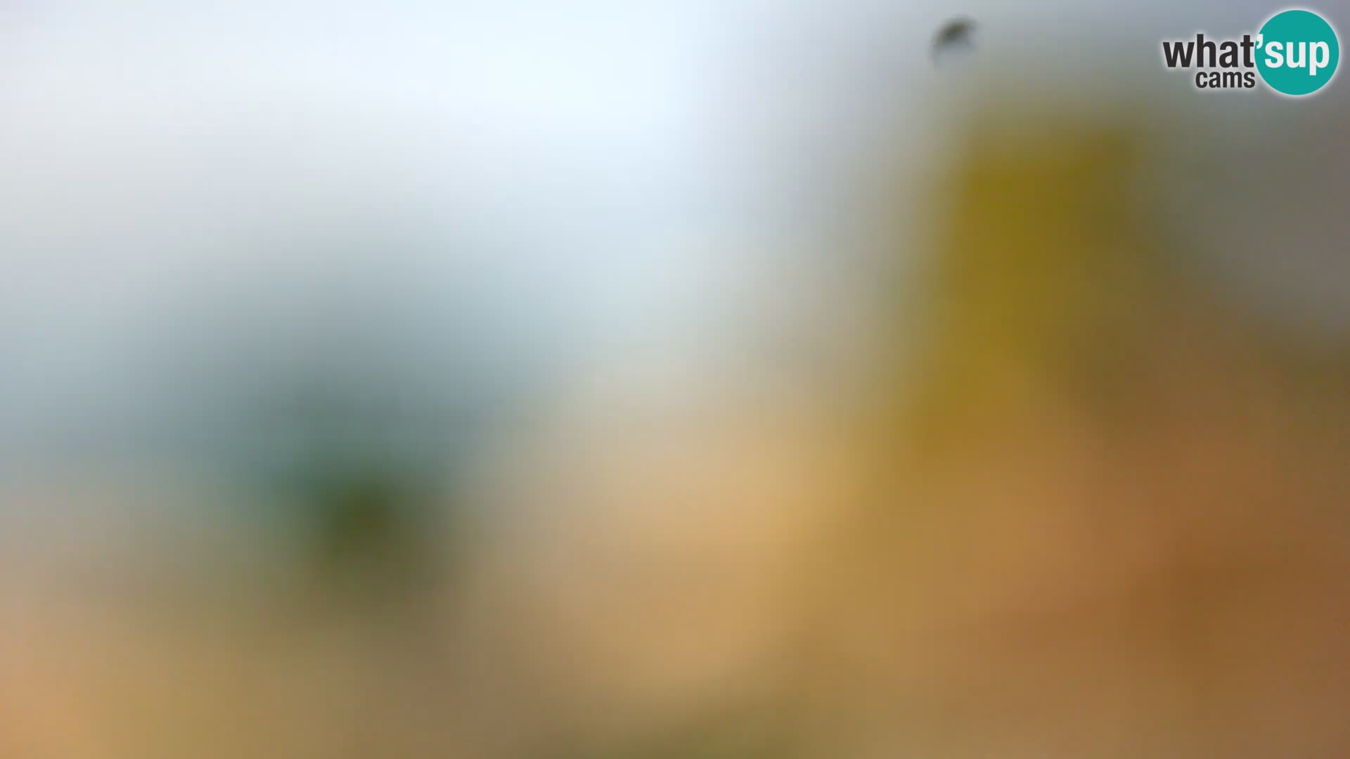 Webcam Borik beach Rovinj – Istria