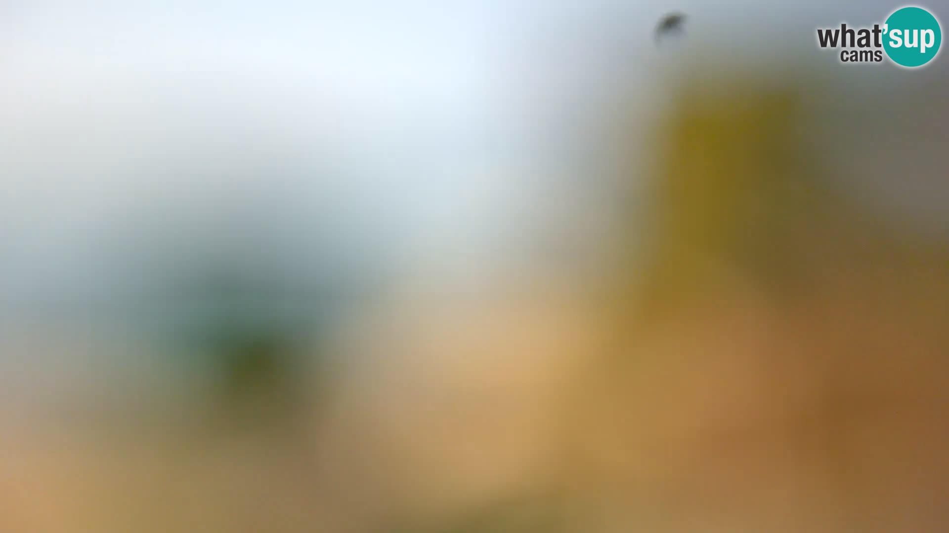 Camera en vivo Borik playa Rovinj – Istria