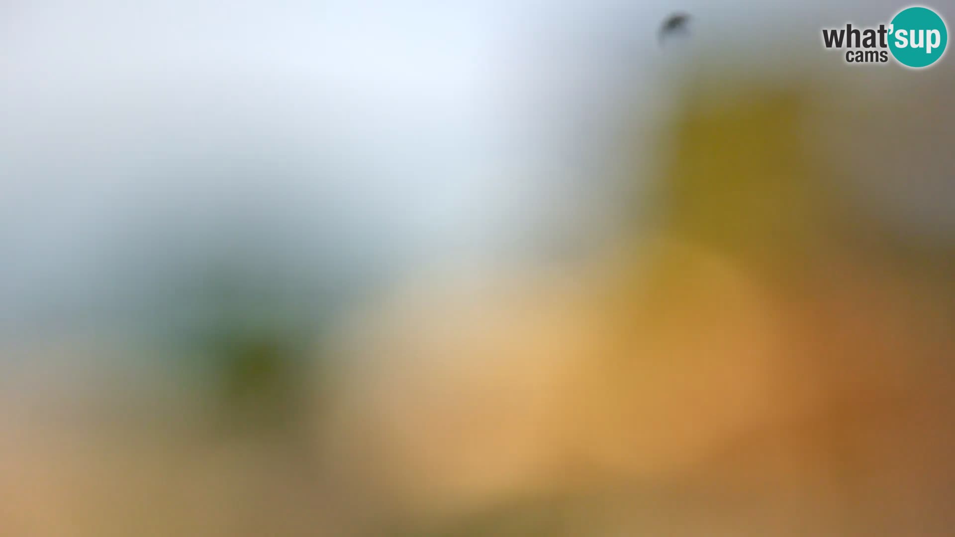 Camera en vivo Borik playa Rovinj – Istria