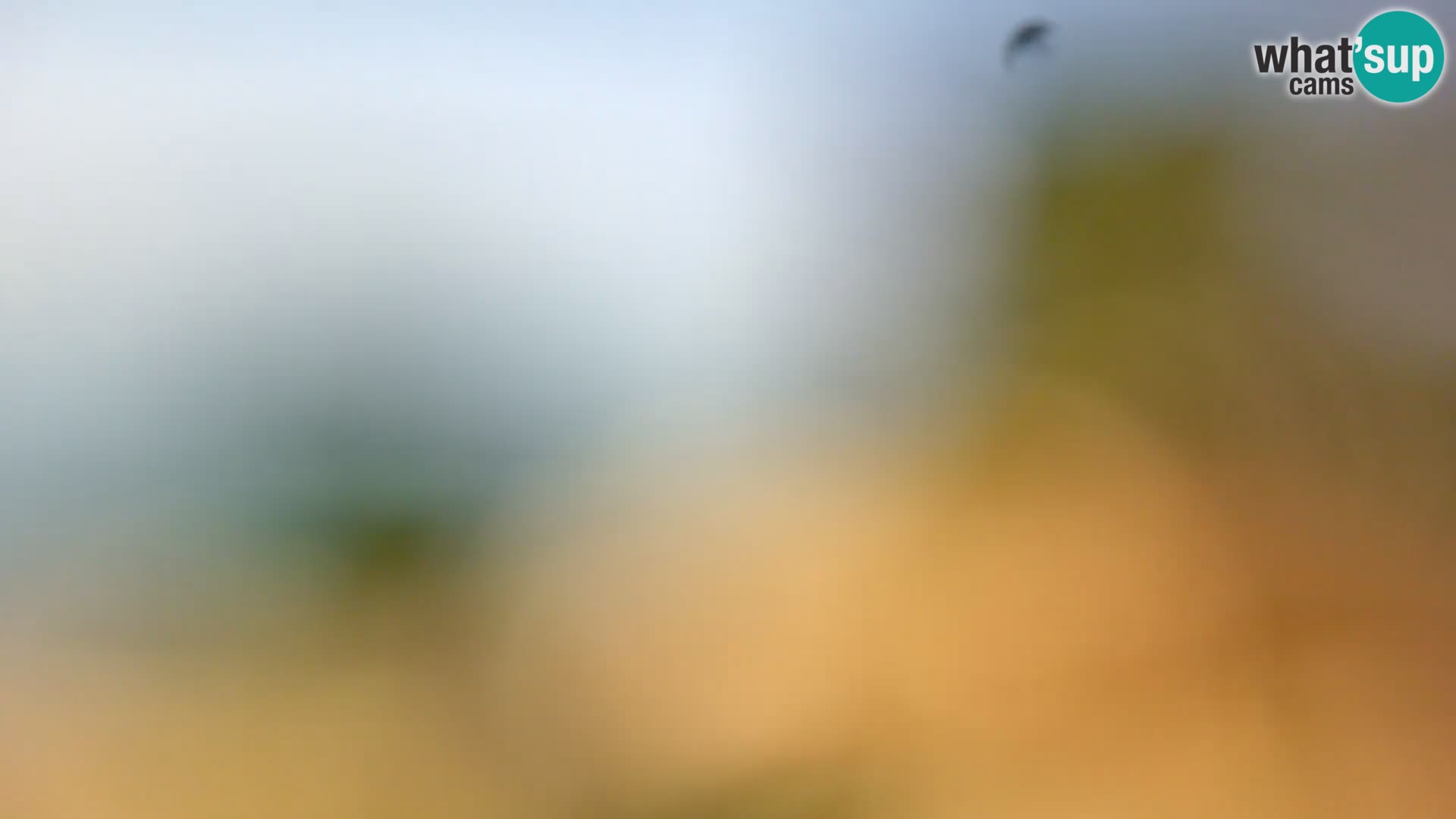 Camera en vivo Borik playa Rovinj – Istria