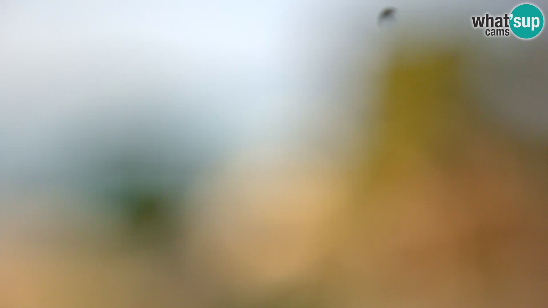 Camera en vivo Borik playa Rovinj – Istria