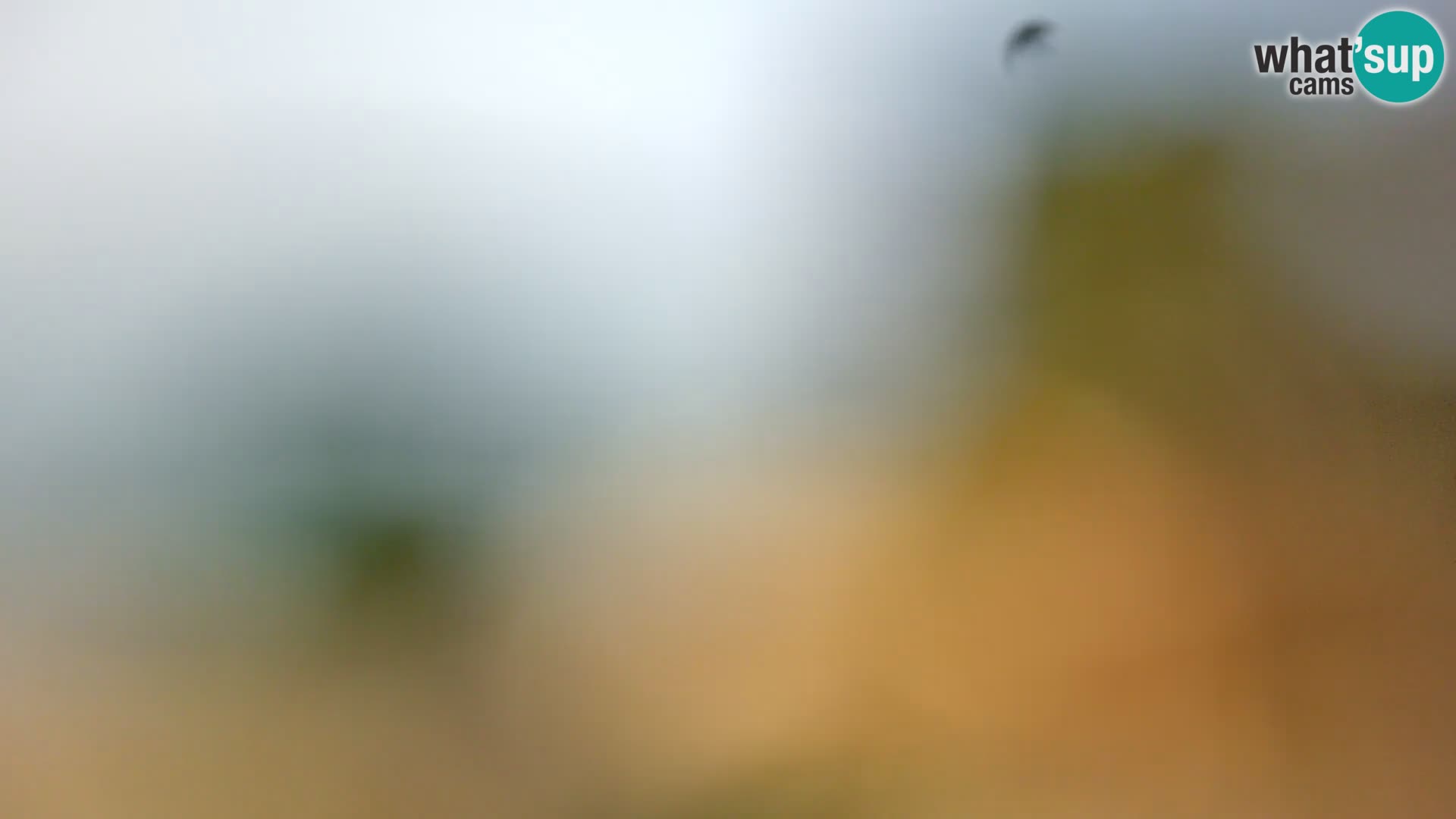 Livecam Borik plage Rovinj – Istrie