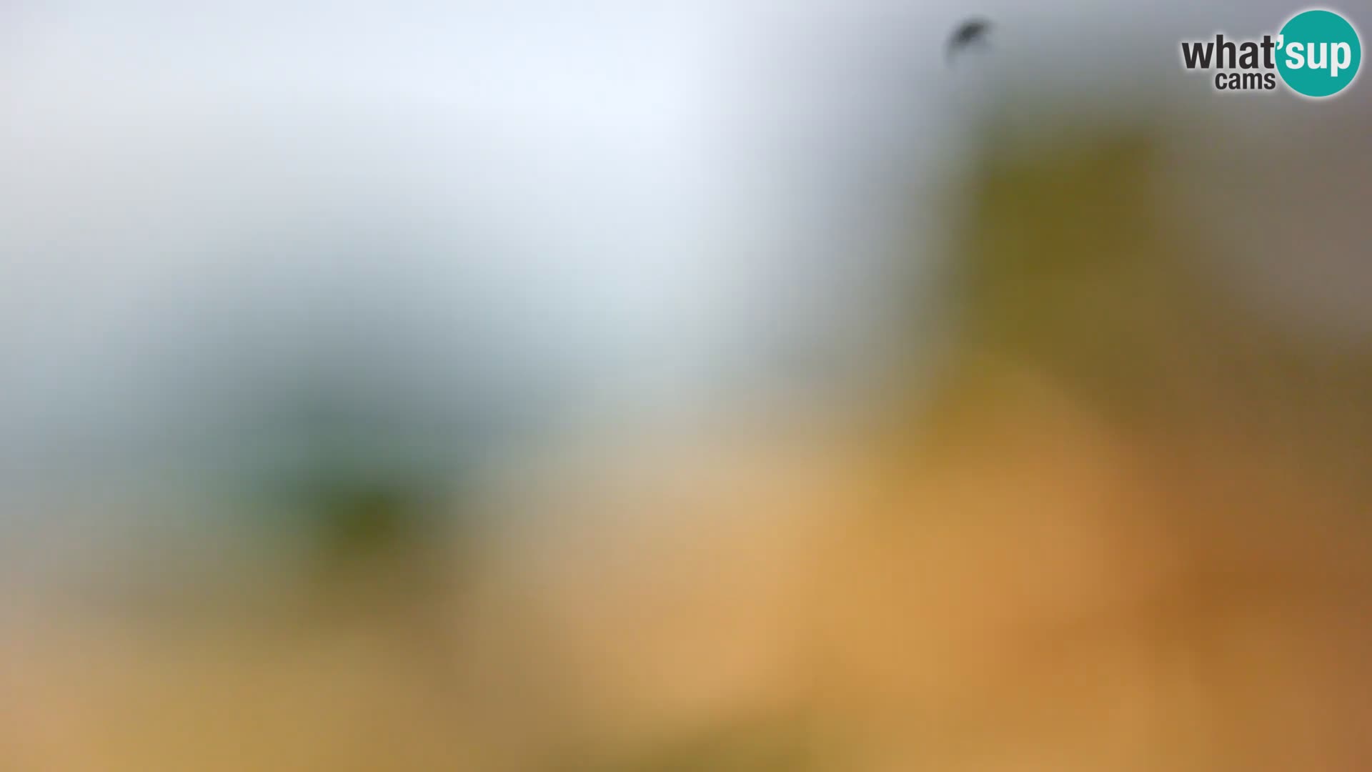 Webcam Spiaggia Borik a Rovigno – Istria