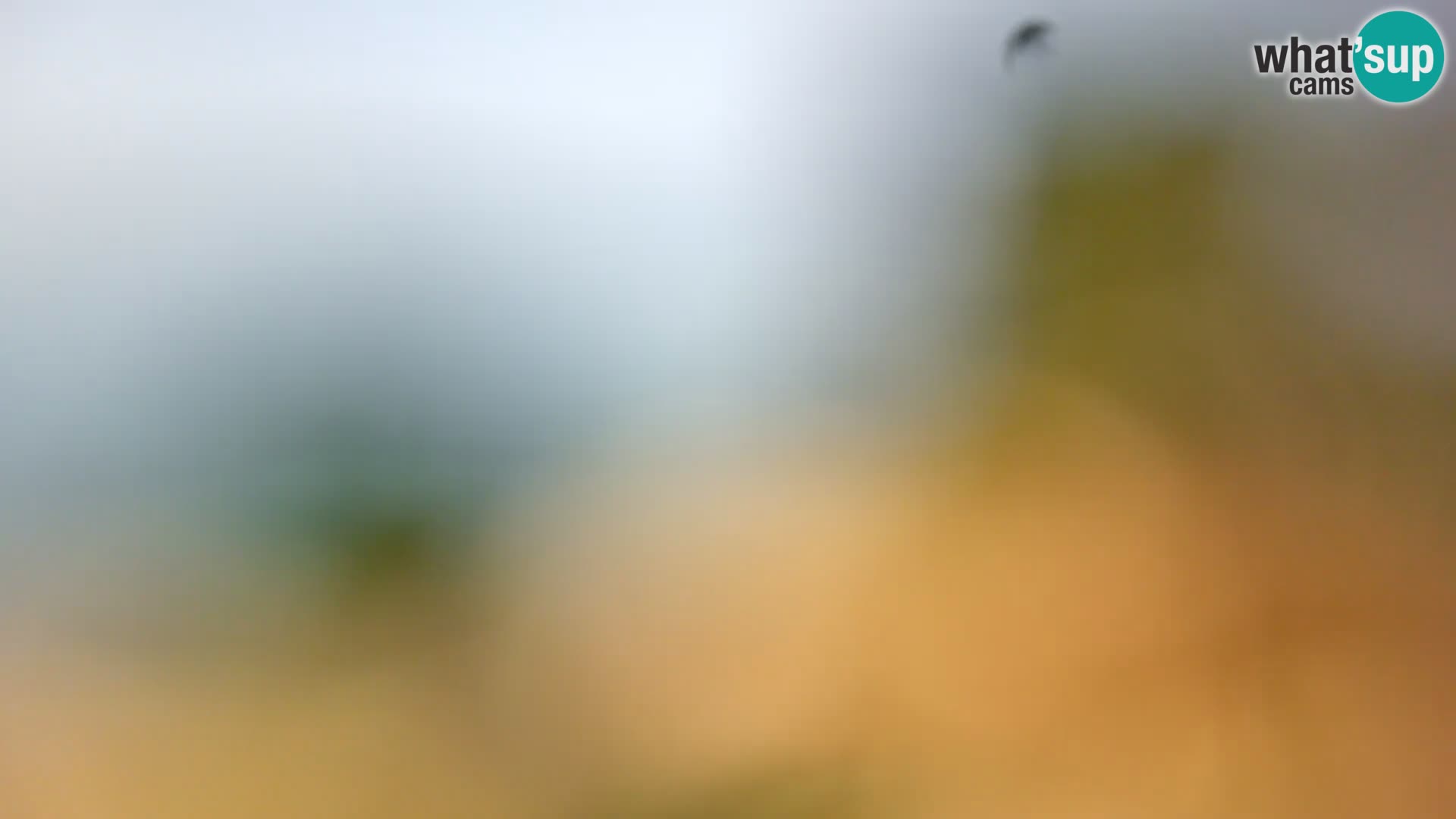 Camera en vivo Borik playa Rovinj – Istria