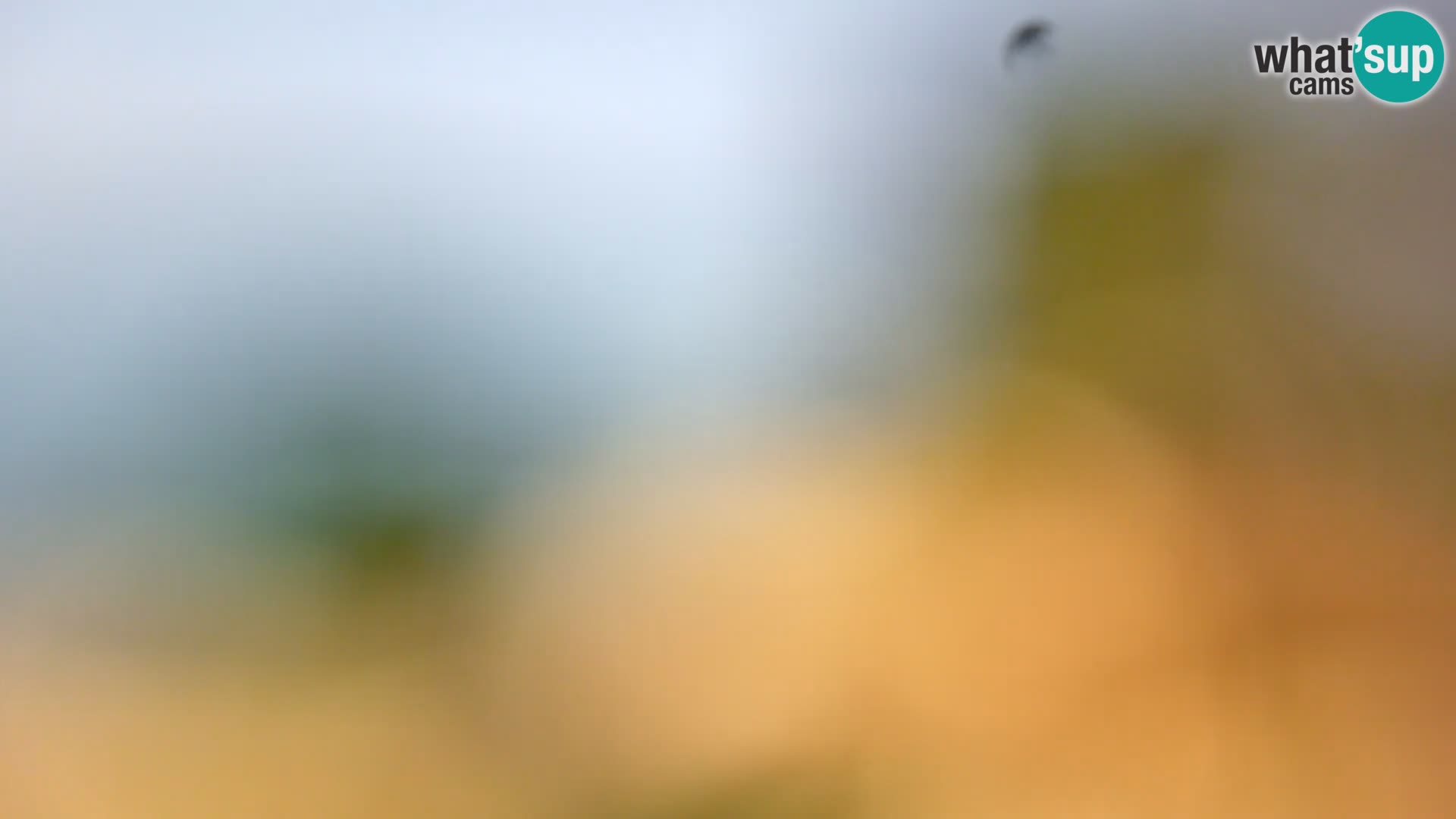 Camera en vivo Borik playa Rovinj – Istria