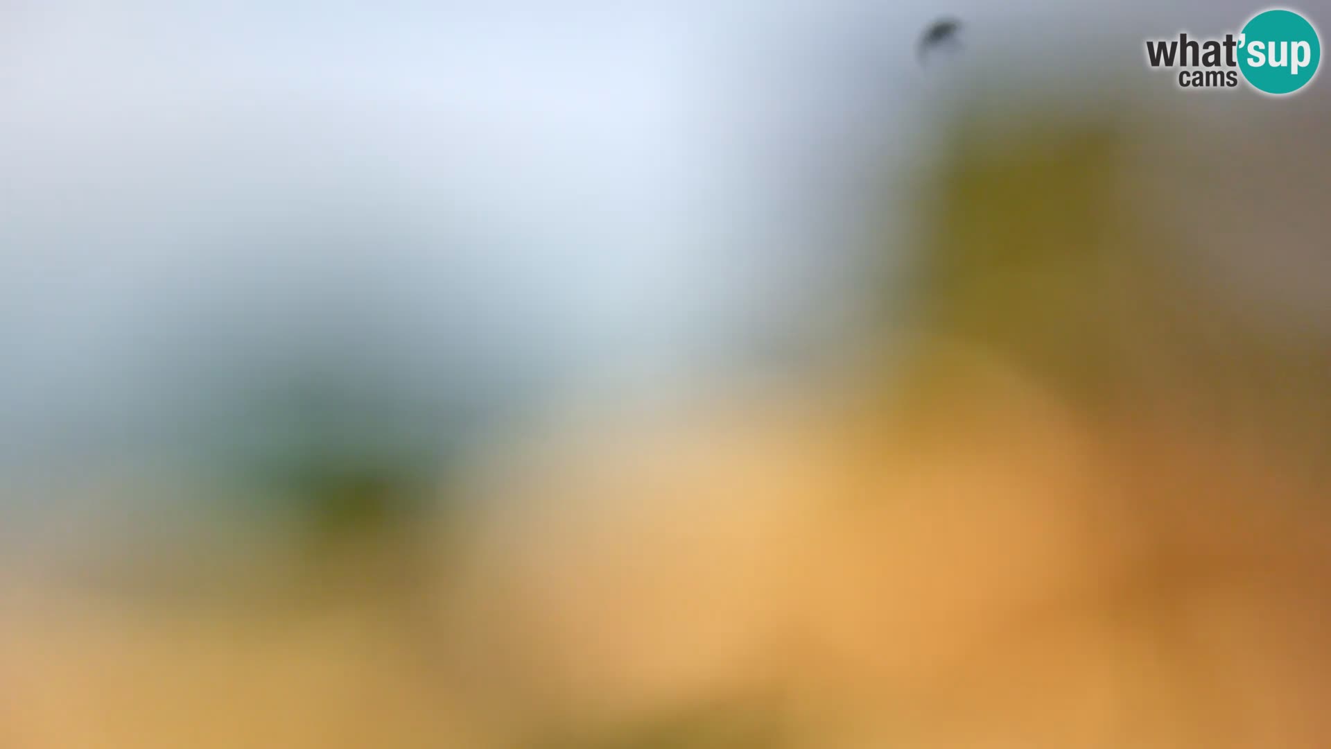 Spletna kamera plaža Borik Rovinj