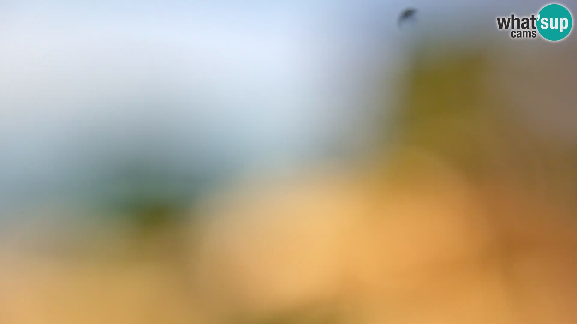 Camera en vivo Borik playa Rovinj – Istria