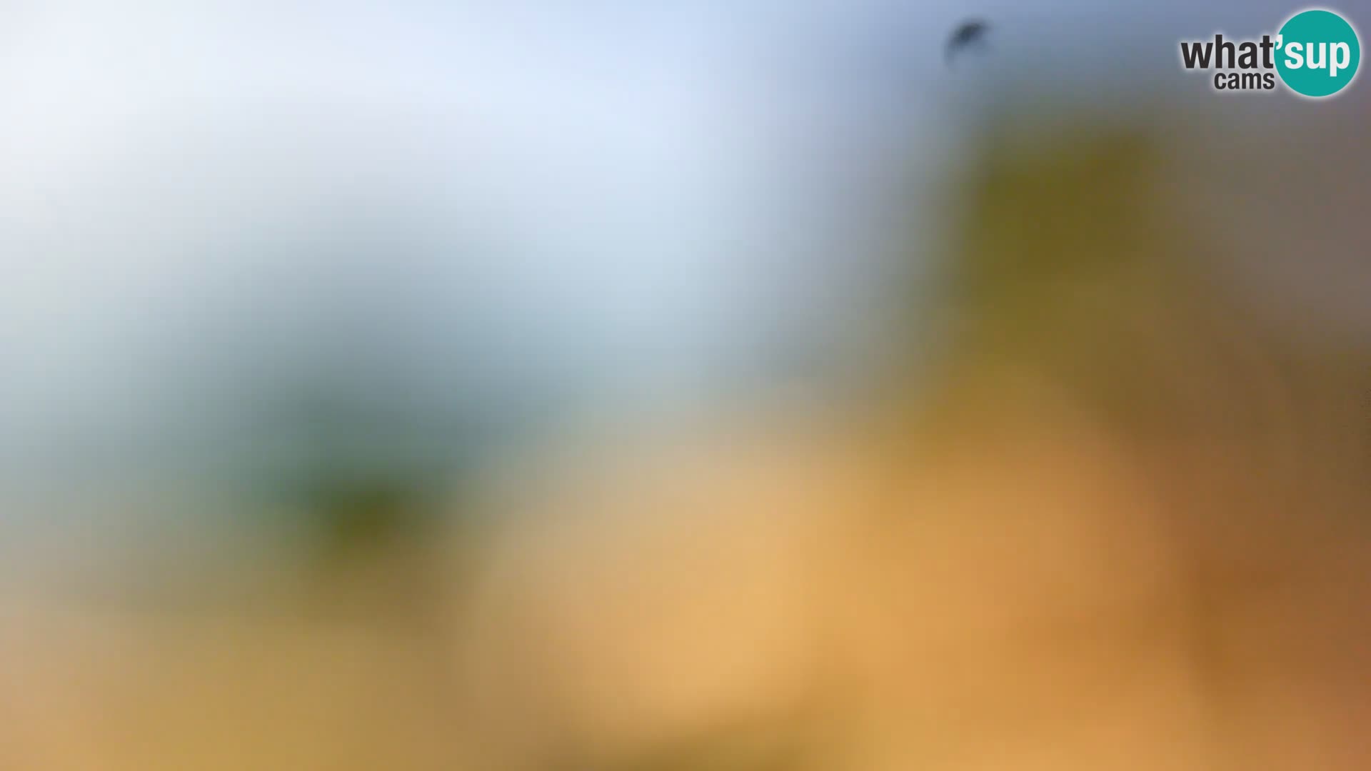 Webcam Borik Strand Rovinj – Istrien