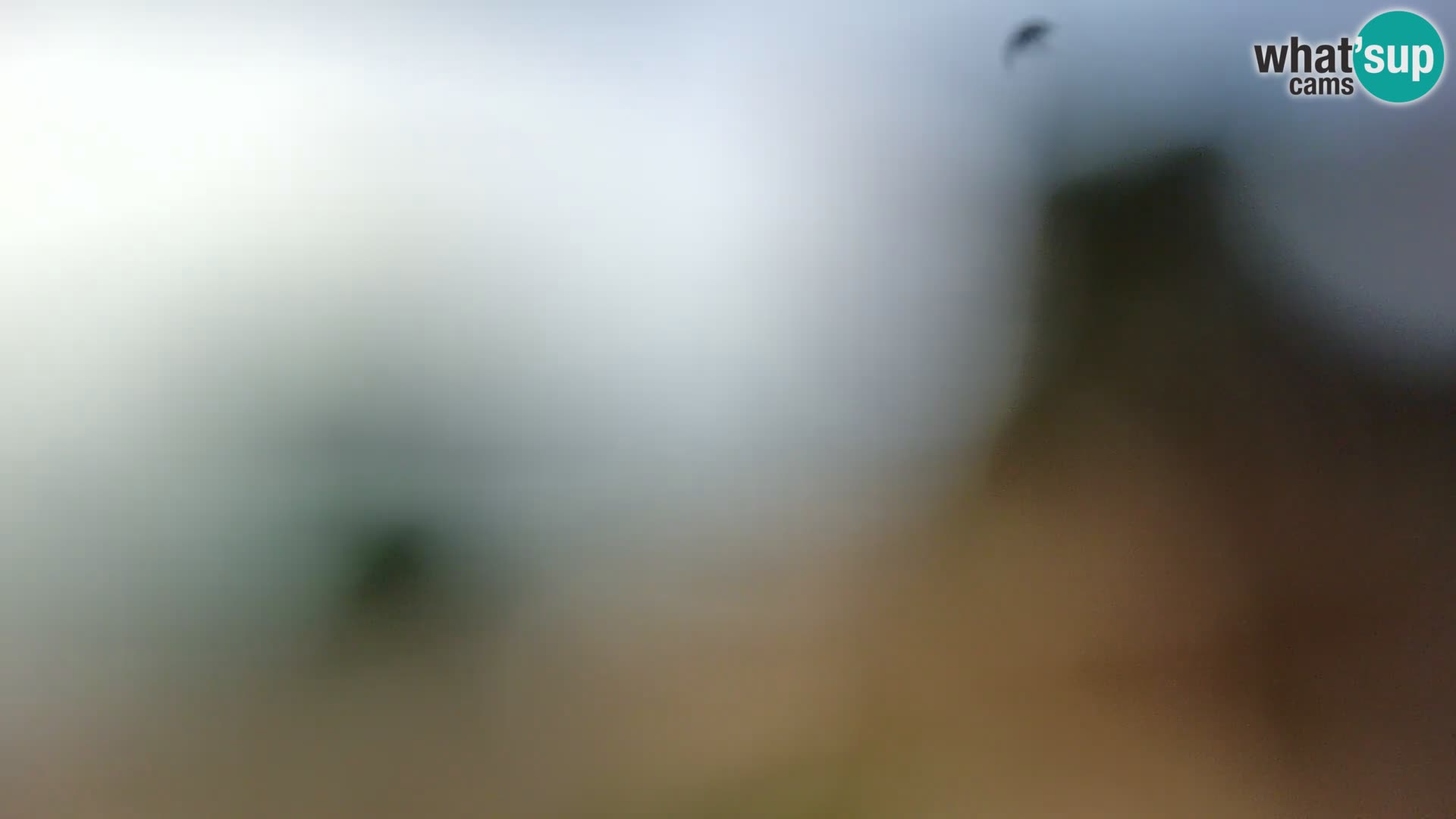 Webcam Spiaggia Borik a Rovigno – Istria