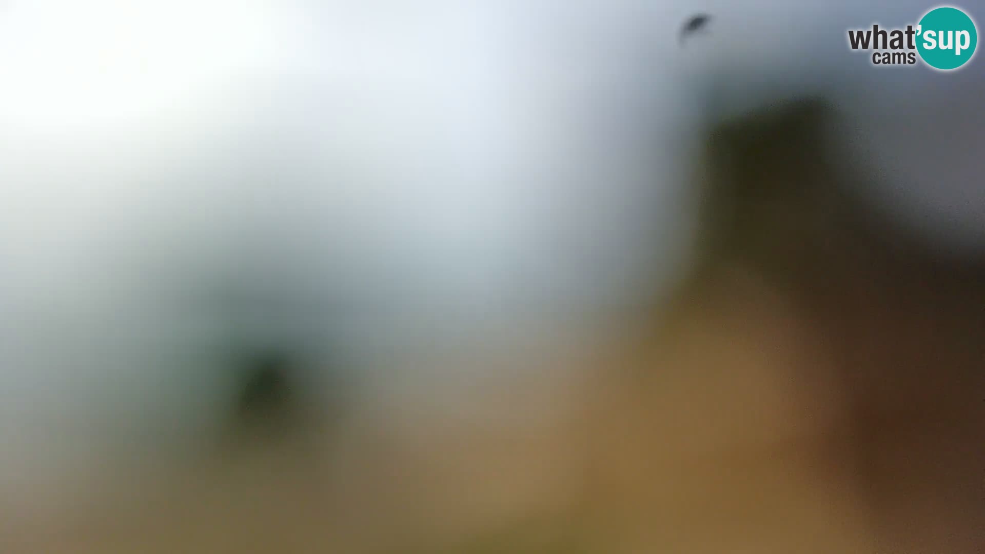 Spletna kamera plaža Borik Rovinj