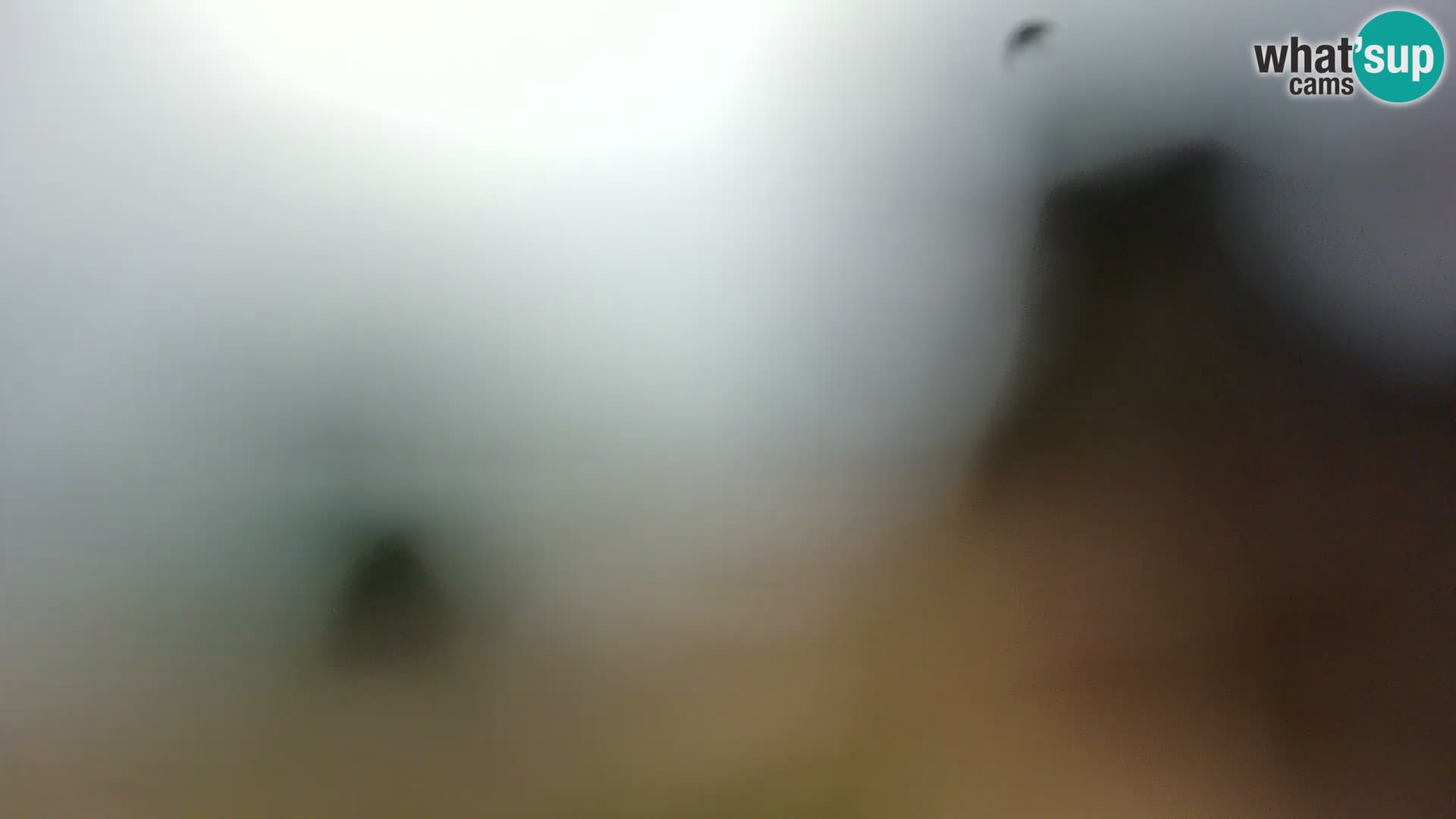 Spletna kamera plaža Borik Rovinj